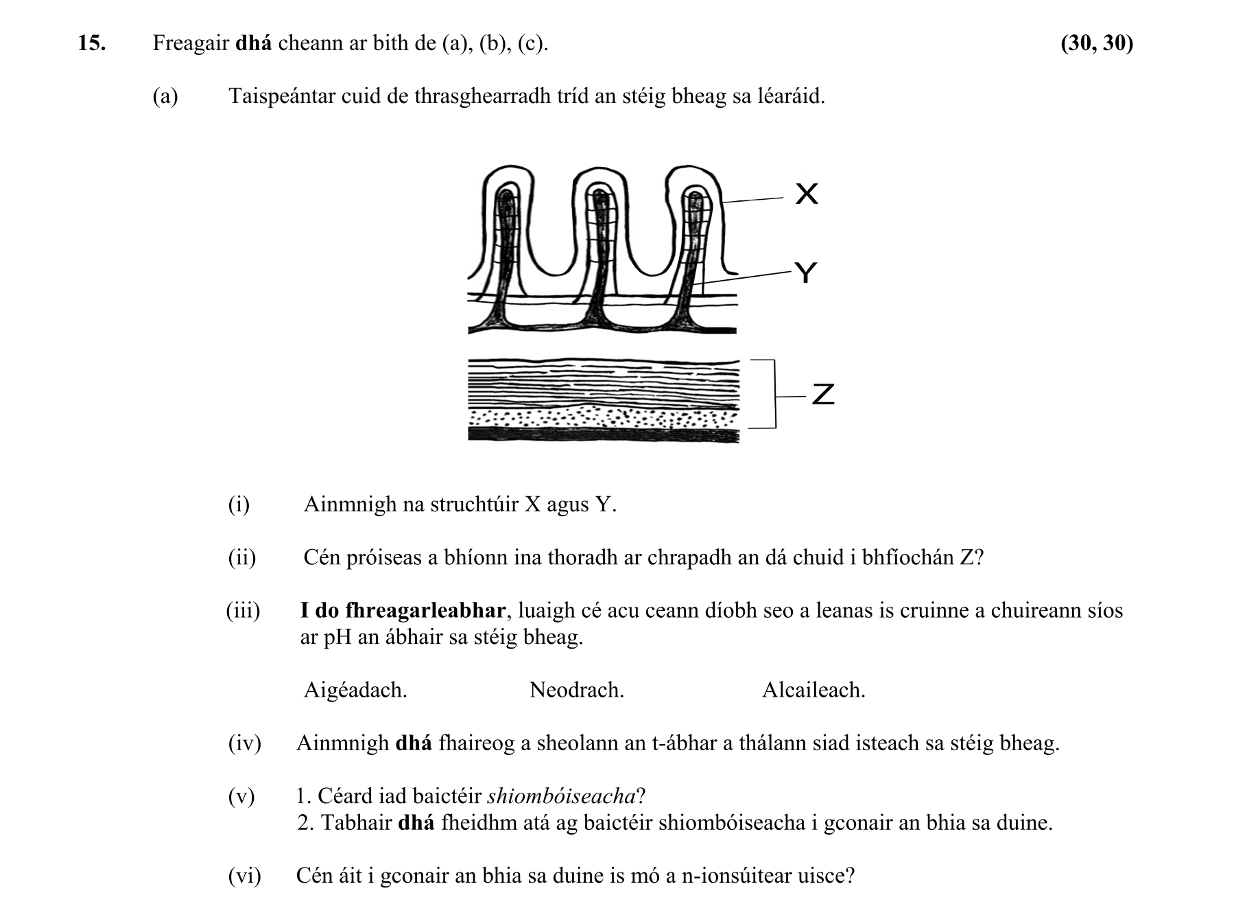 Question c4c60ce2-d660-4d47-9905-f248cdc2c4a9