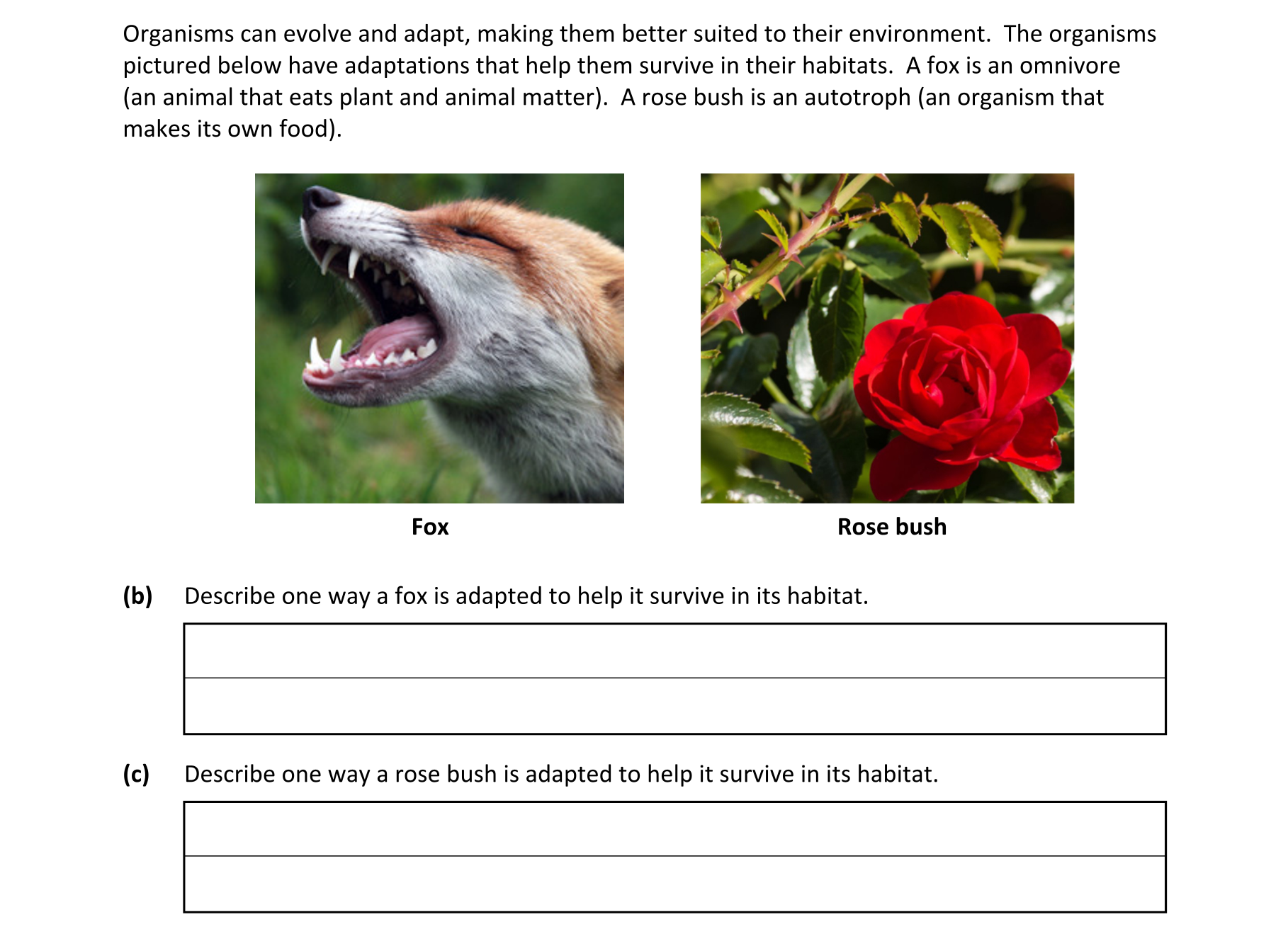 Question d368d4b2-a2c2-489a-b0f1-c79c99092649