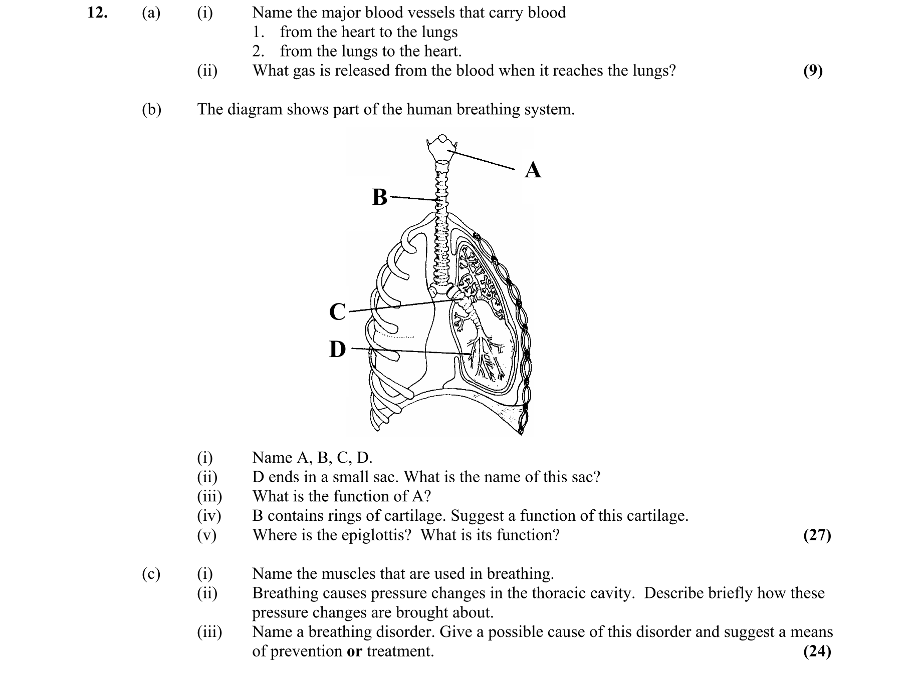 Question a4f6b9a5-4176-4759-a3fe-23ebf11260f4