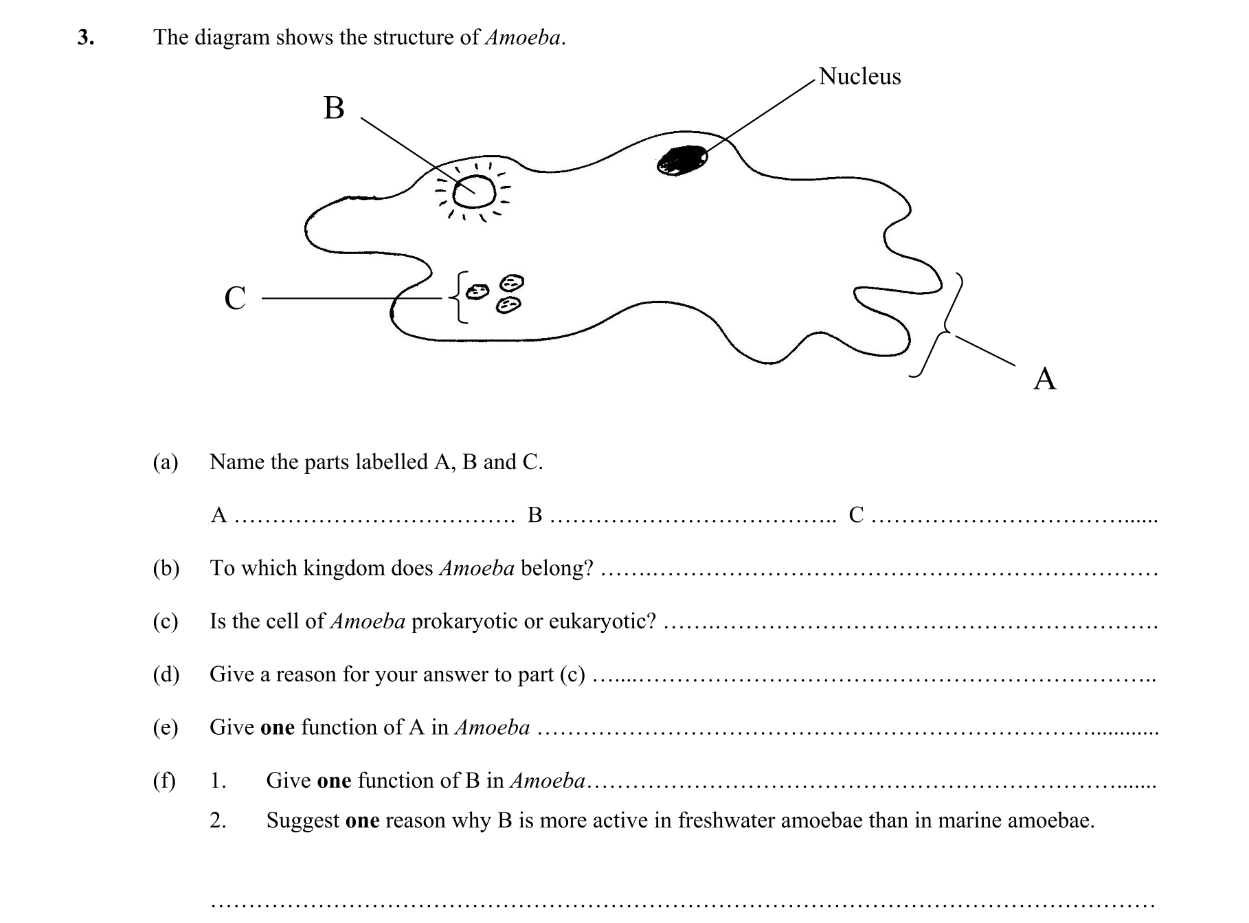 Question d3333360-10b9-479f-9742-ce53d8f8f8e7