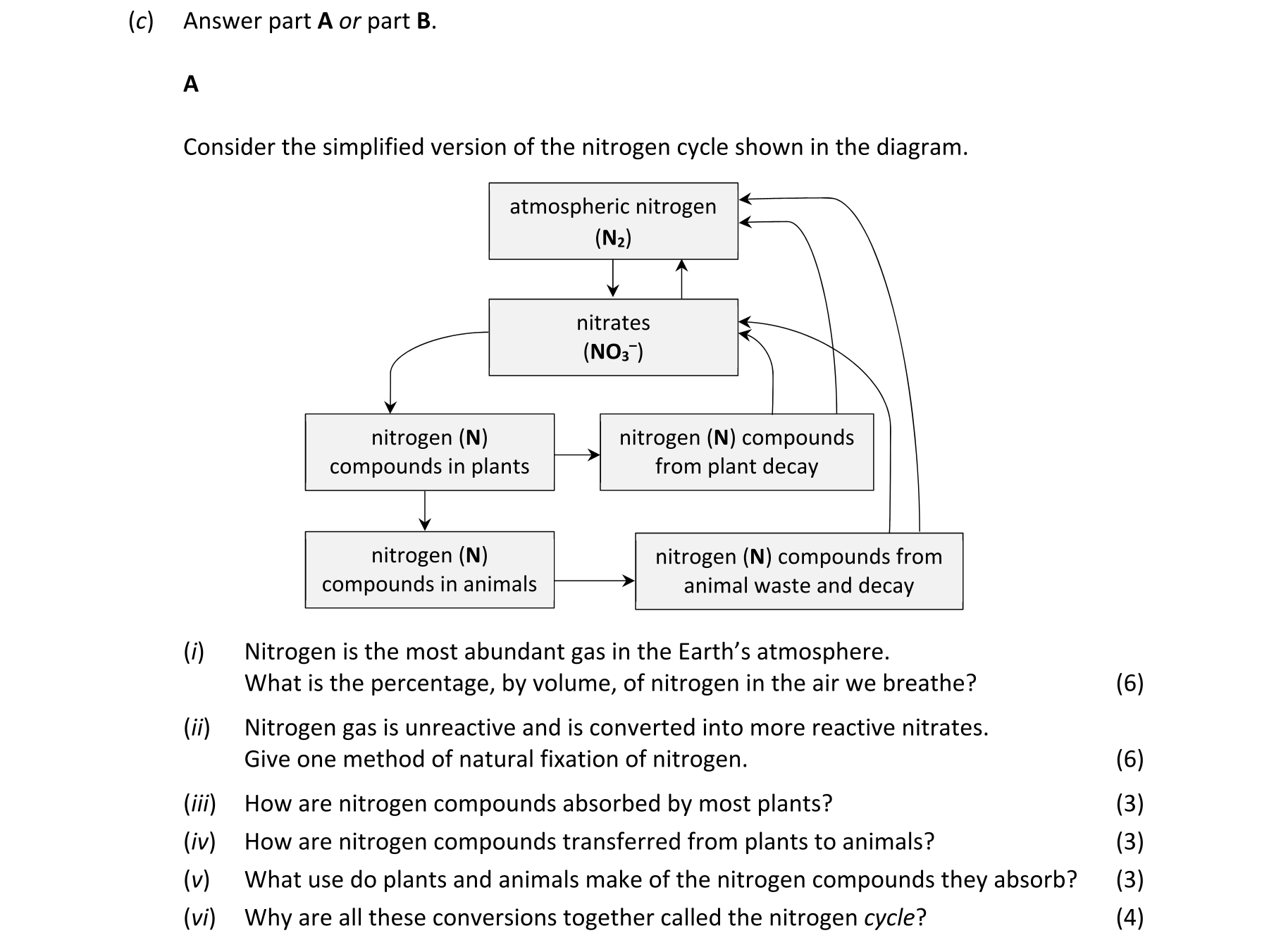 Question 2d555085-7e72-4fcb-bd2f-ae734bc9c60c