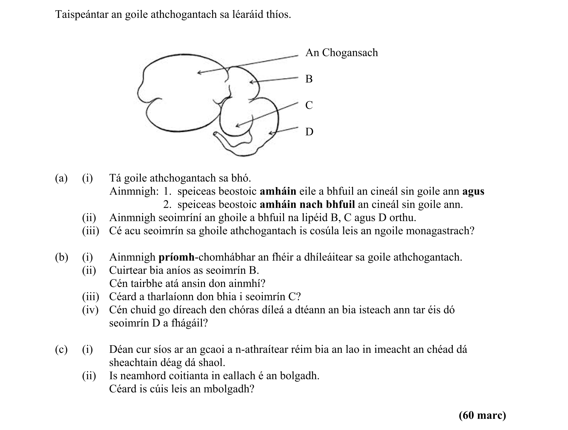 Question cc9d348c-dc0f-4567-9661-22d4f91f3055