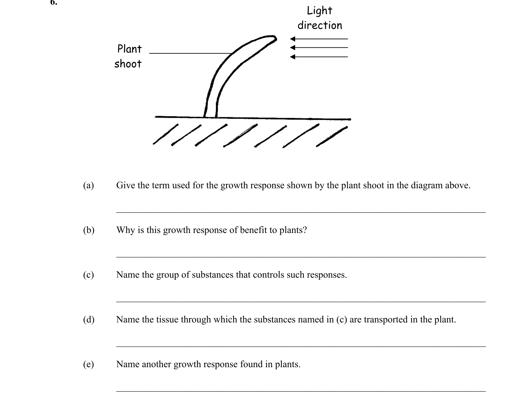 Question 4ae75c4e-0dfe-4484-b633-f52388aa8ad4