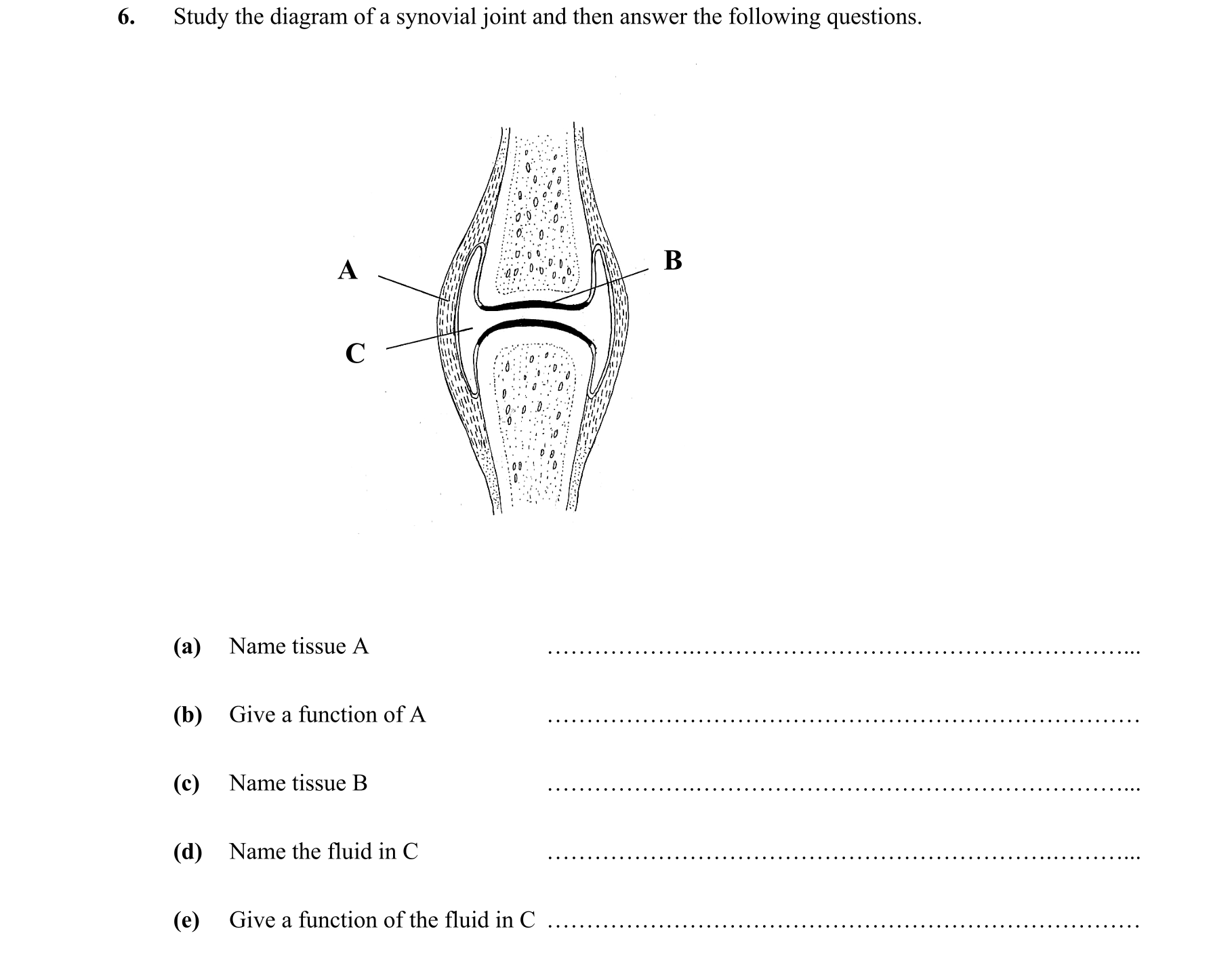 Question ad72c7b6-ab77-4501-8ee9-2f7b7b63cb14