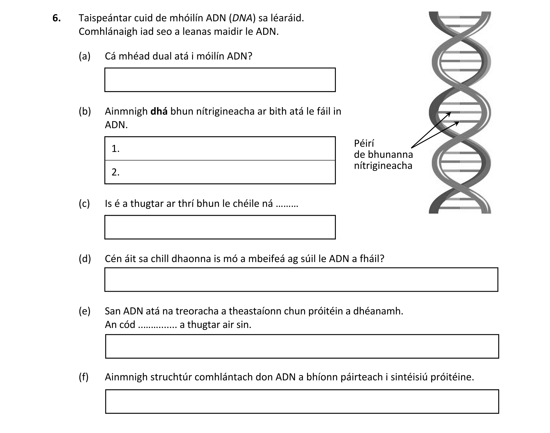 Question eee50c12-9344-4892-93bc-55490a6bdf97