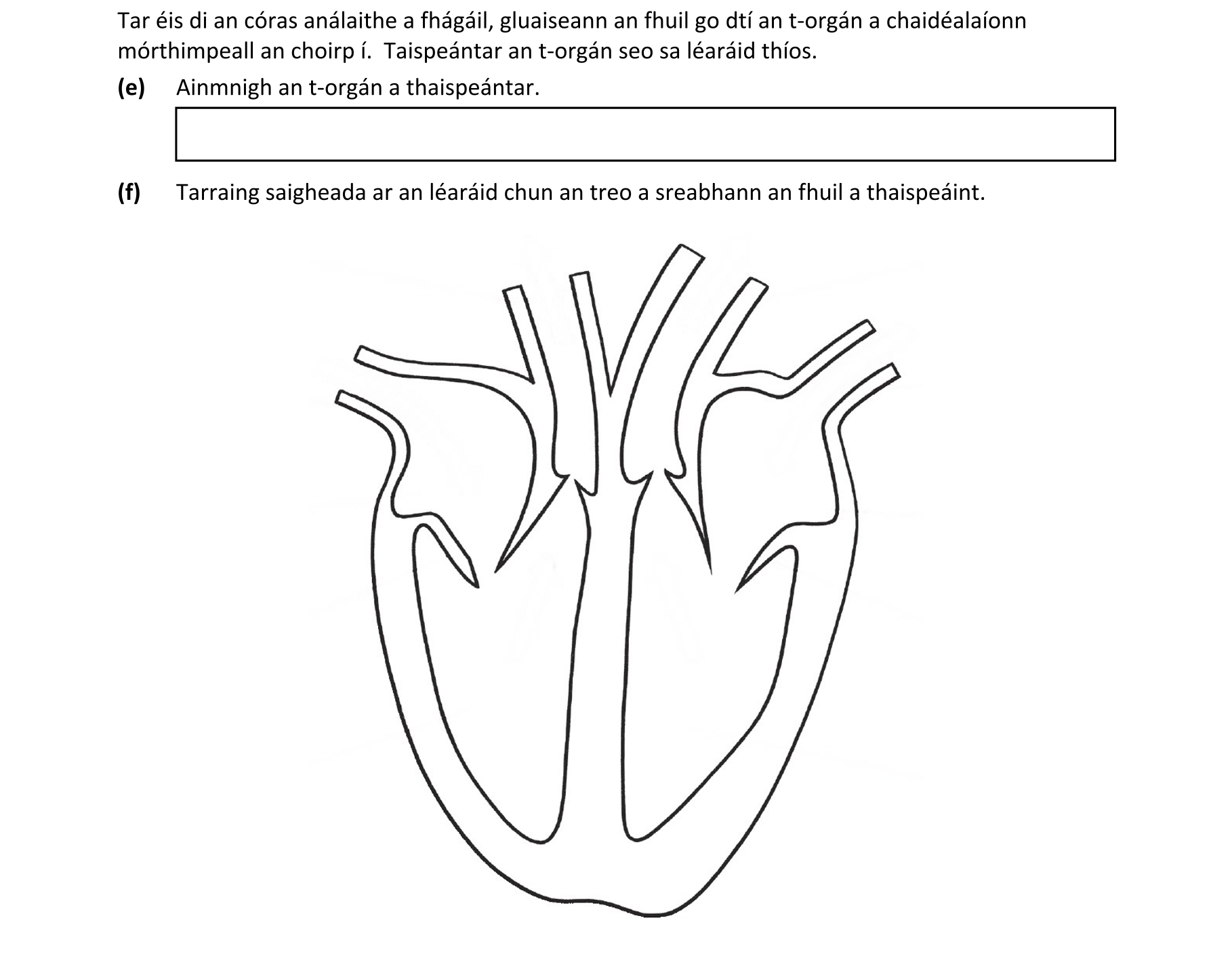Question 798cd824-301b-4e29-ba38-3cca84c4212a