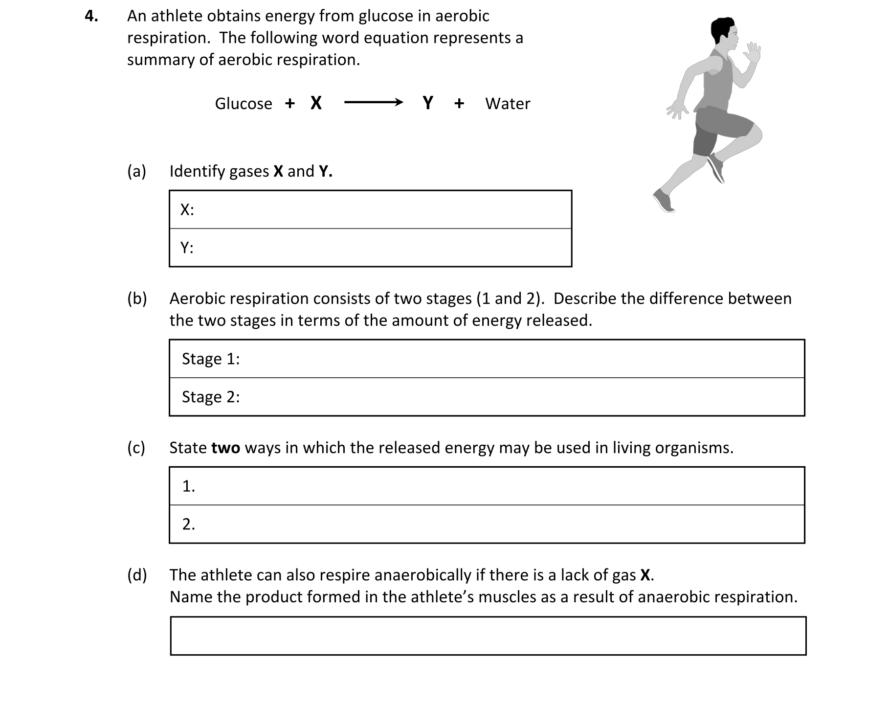 Question 90ac6092-7d33-4cfa-a85d-ecaffbd1713a
