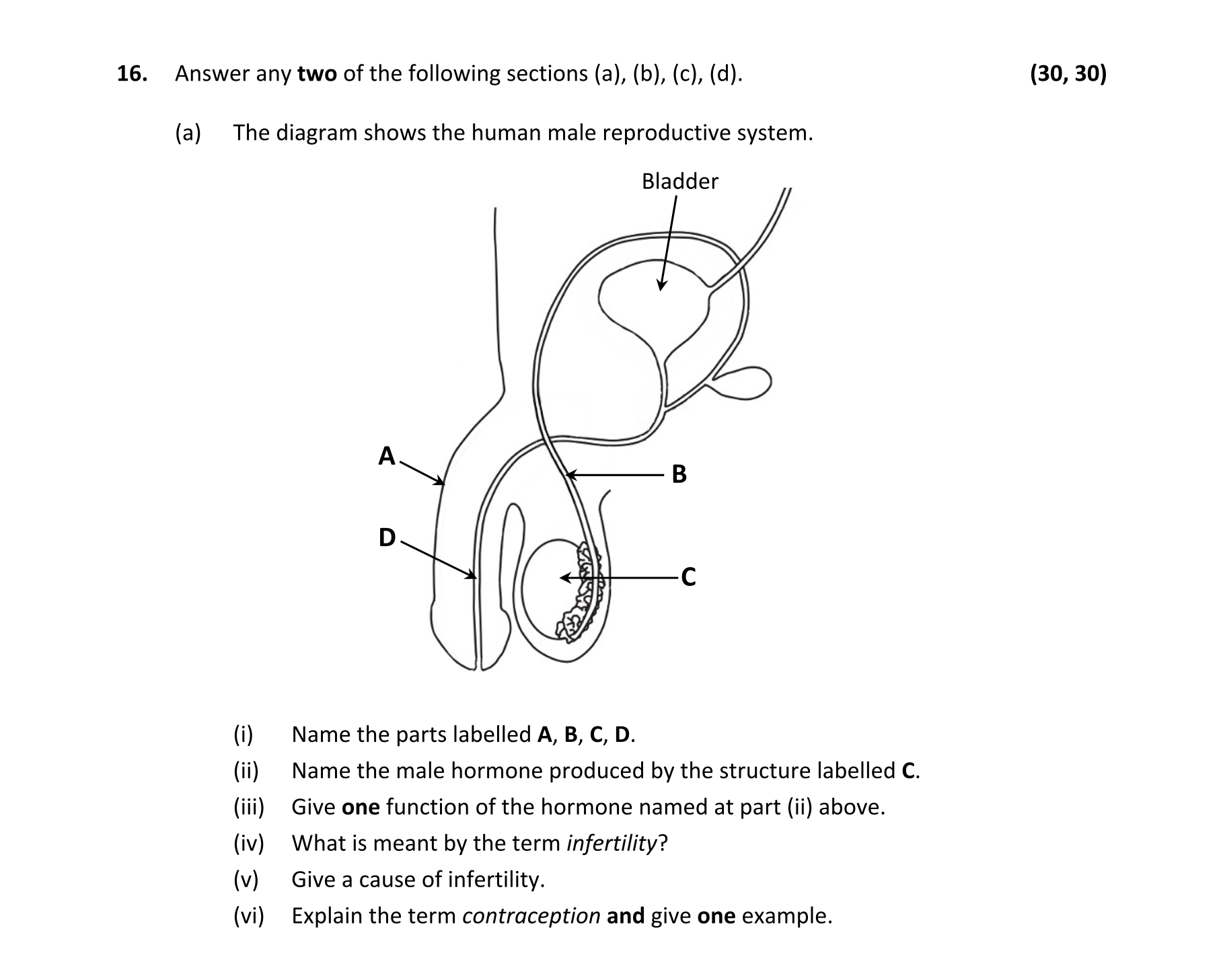 Question ff853b7b-0427-4767-9753-177a3bbee3bc