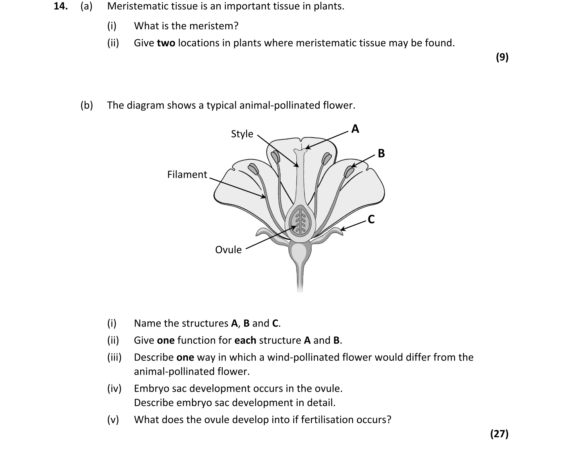 Question f0b10988-f7ec-4156-8cc5-1c2743016182