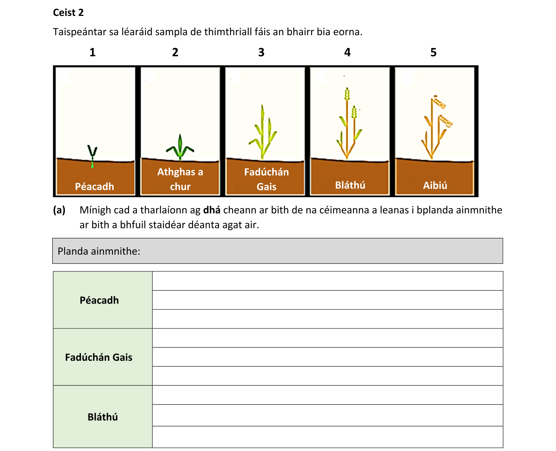 Question 15e05e5a-bcbb-427f-ba10-8abb1aa91910