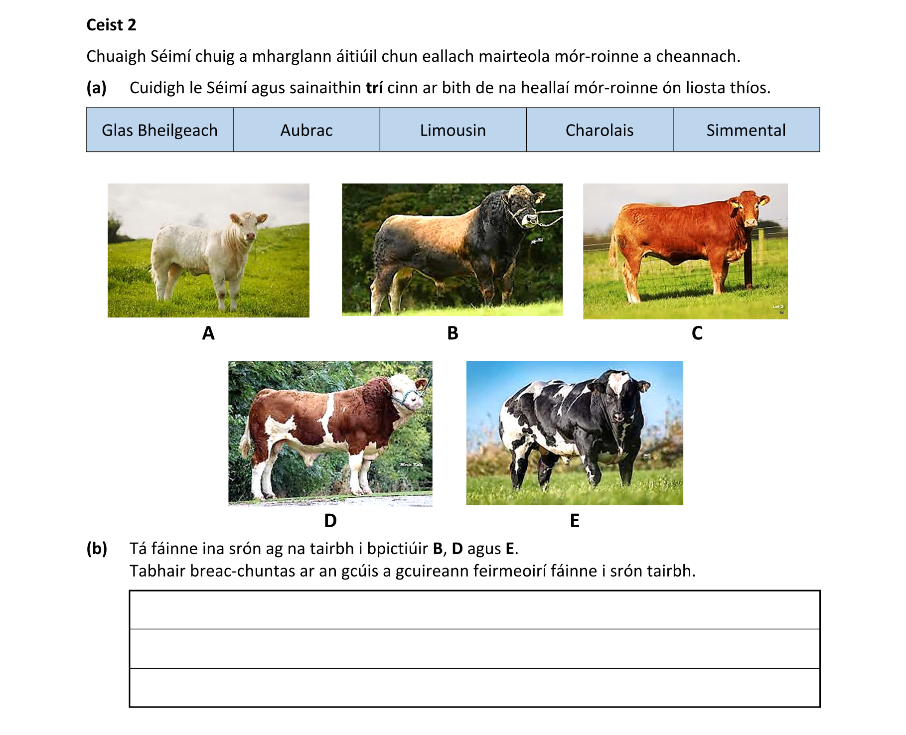 Question afee620e-673c-44a1-a960-a961d96bf48d