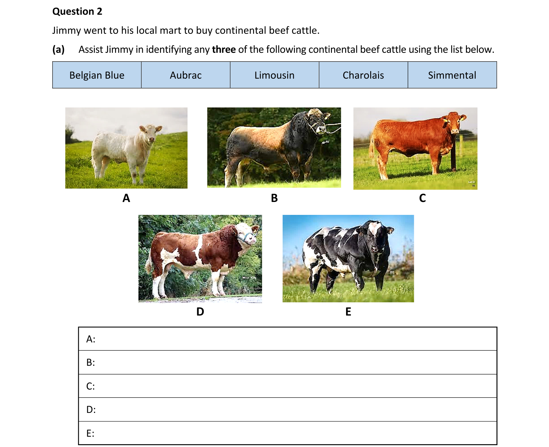 Question 5dd28e1b-3f3f-4df0-961d-8f11ce8fa8a4