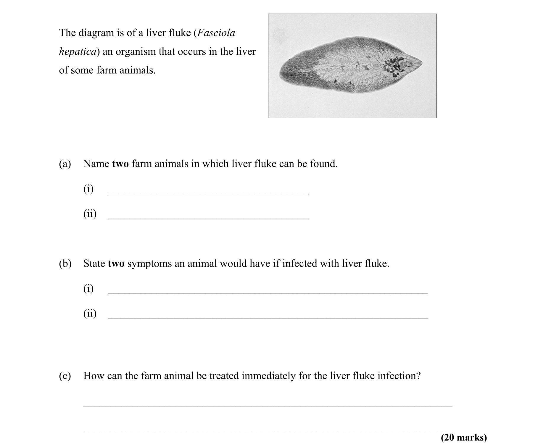 Question 86de8666-5c30-4708-a50c-7492a9d06403