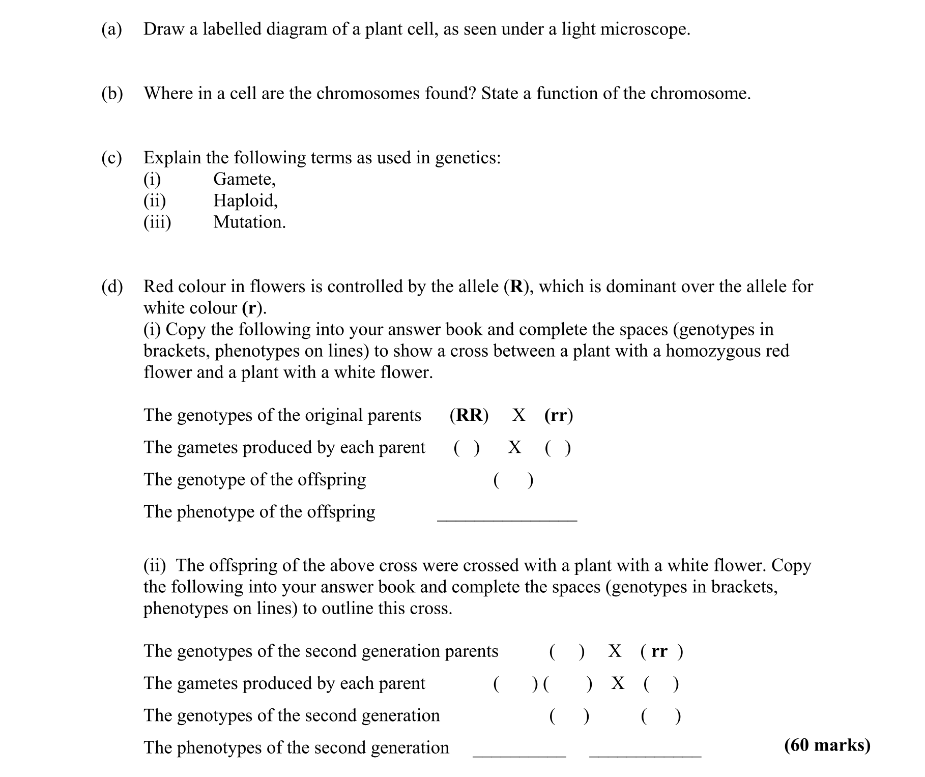 Question 33728742-8095-47fc-923c-38ab3ecc26a8