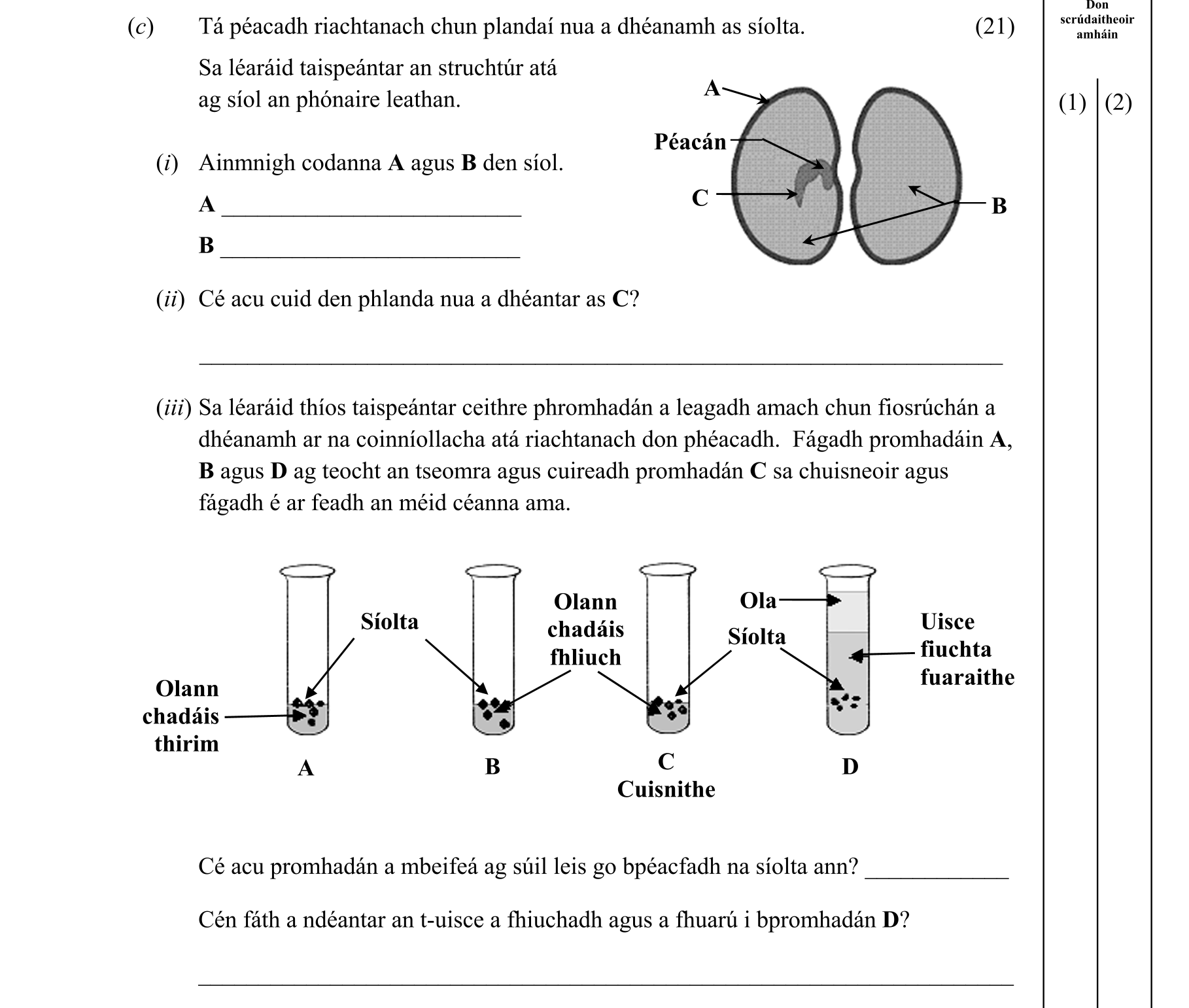 Question 1d50f261-009d-4ef9-96d2-9f4d5c3f93ed