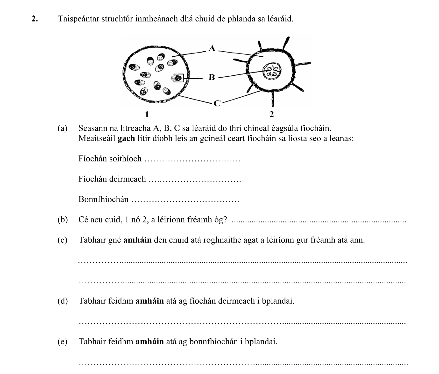 Question cdb327c9-1c7e-4060-aa88-3d81f36fb8e0