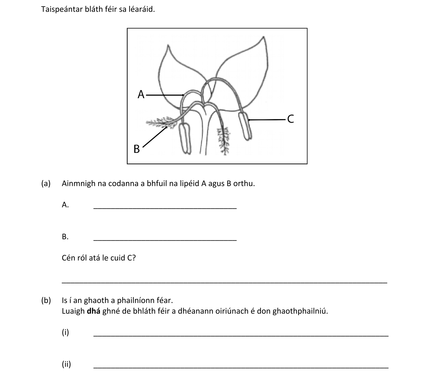 Question e089573e-a911-4ae5-ae49-bd0a44a53a60