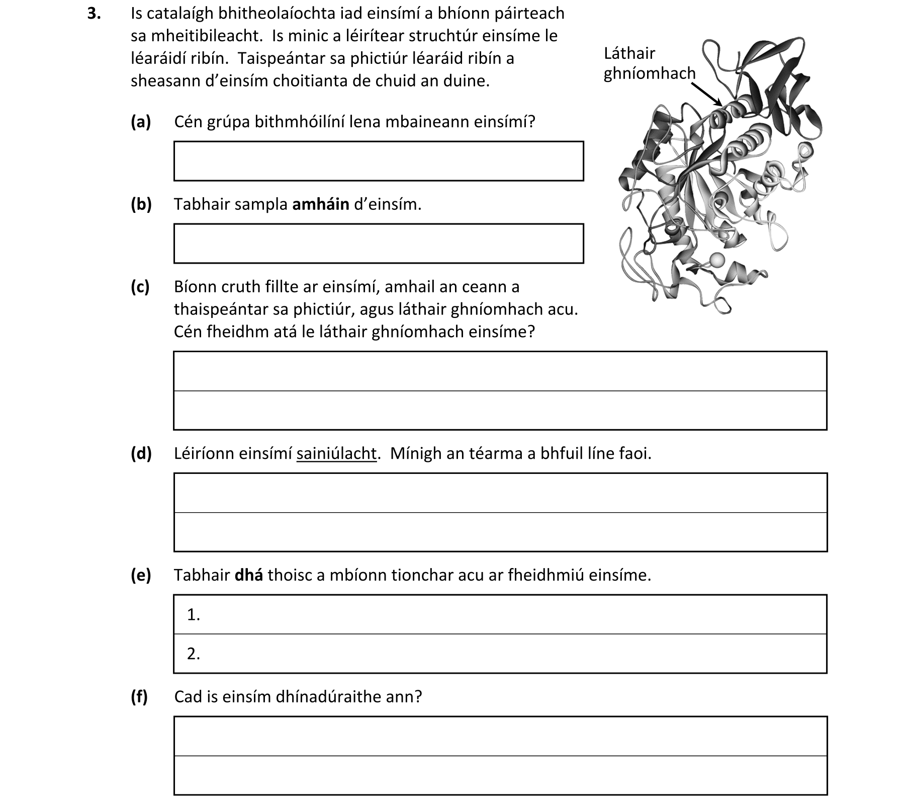 Question 24c27bbb-7cf1-49a6-ba65-b83dcb7c771a
