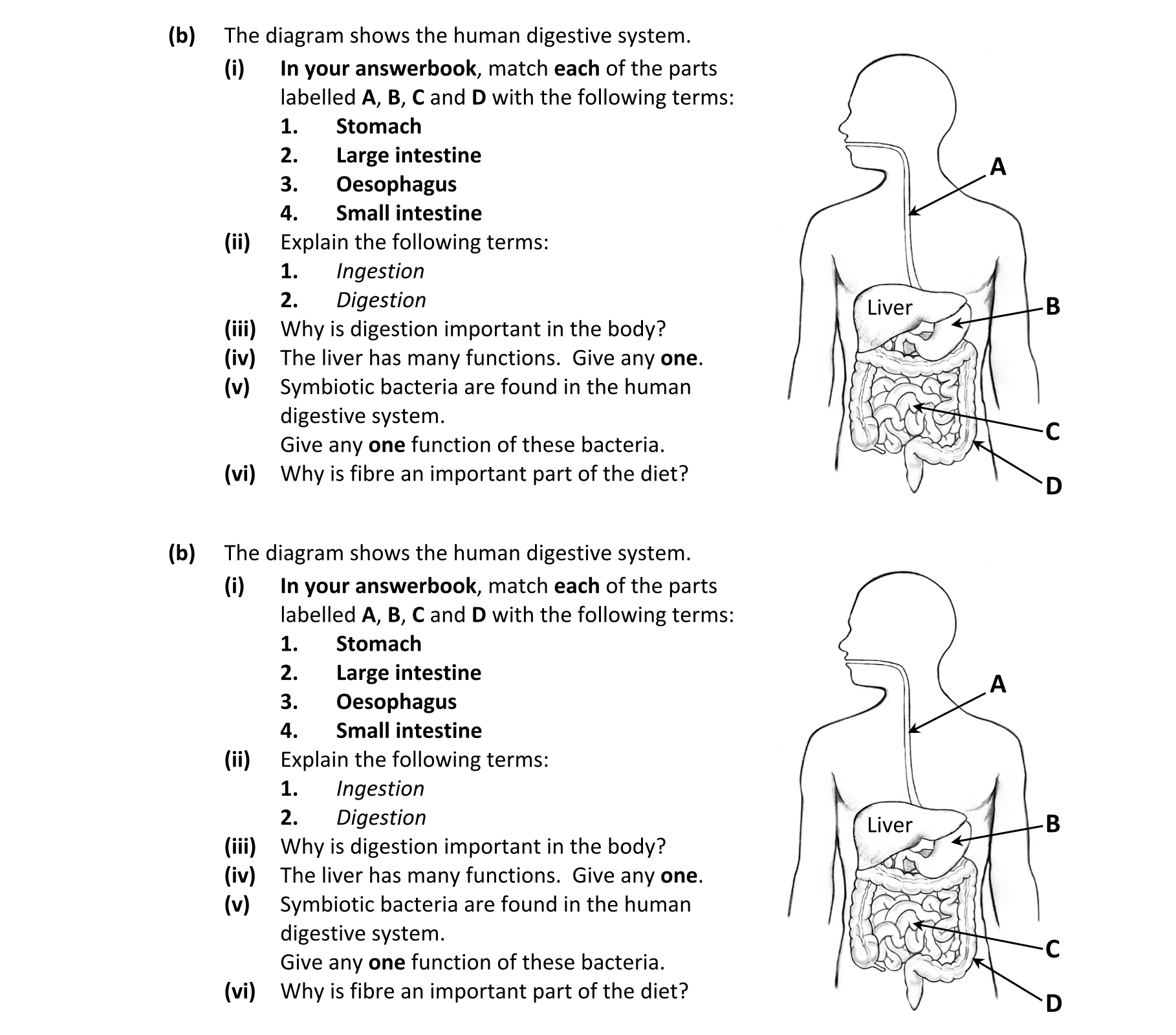 Question 22ee670e-83c2-438d-8632-1d4afd48b48d