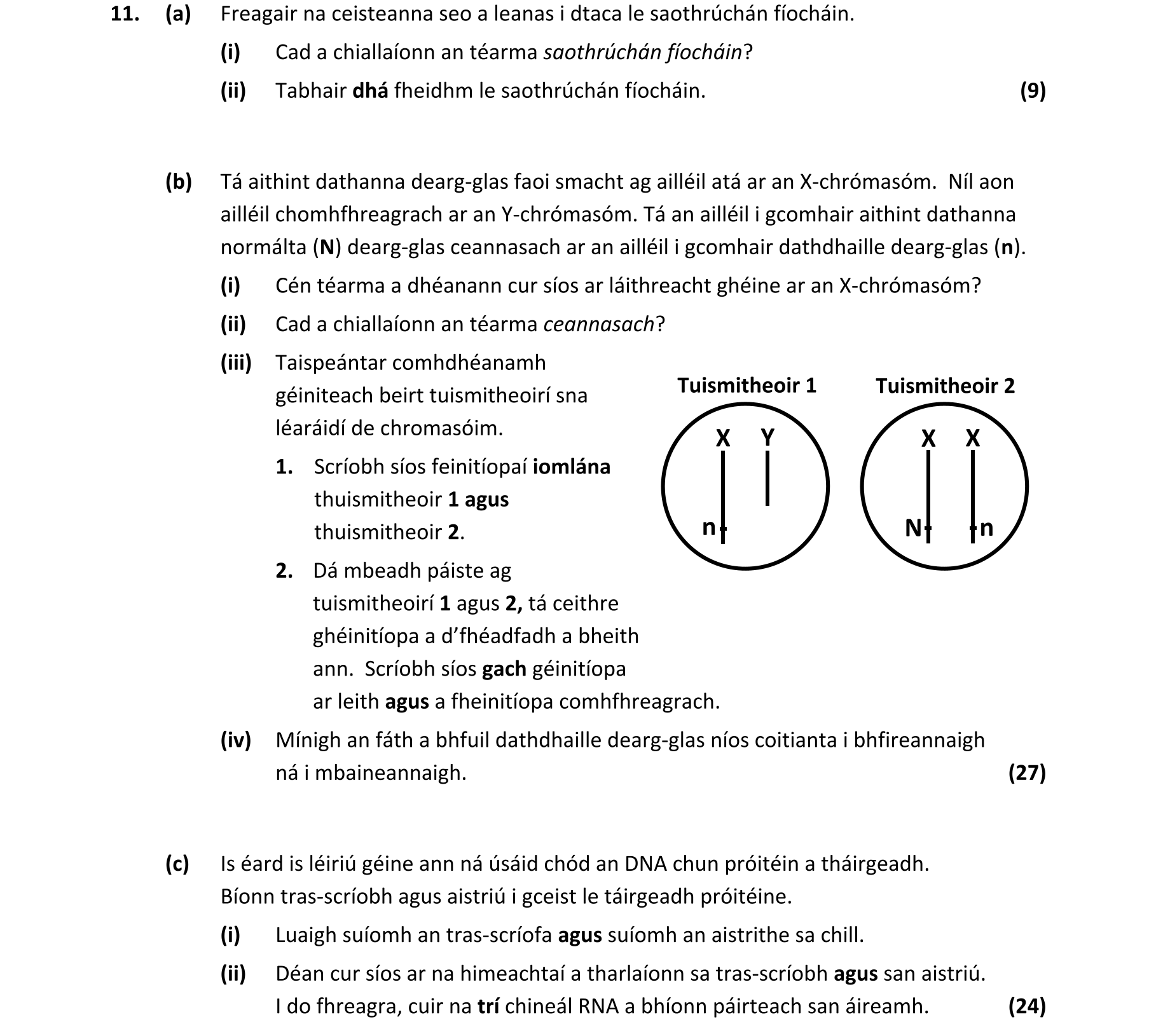 Question 19c5f4ee-7714-4a07-89c6-faa130c34a95
