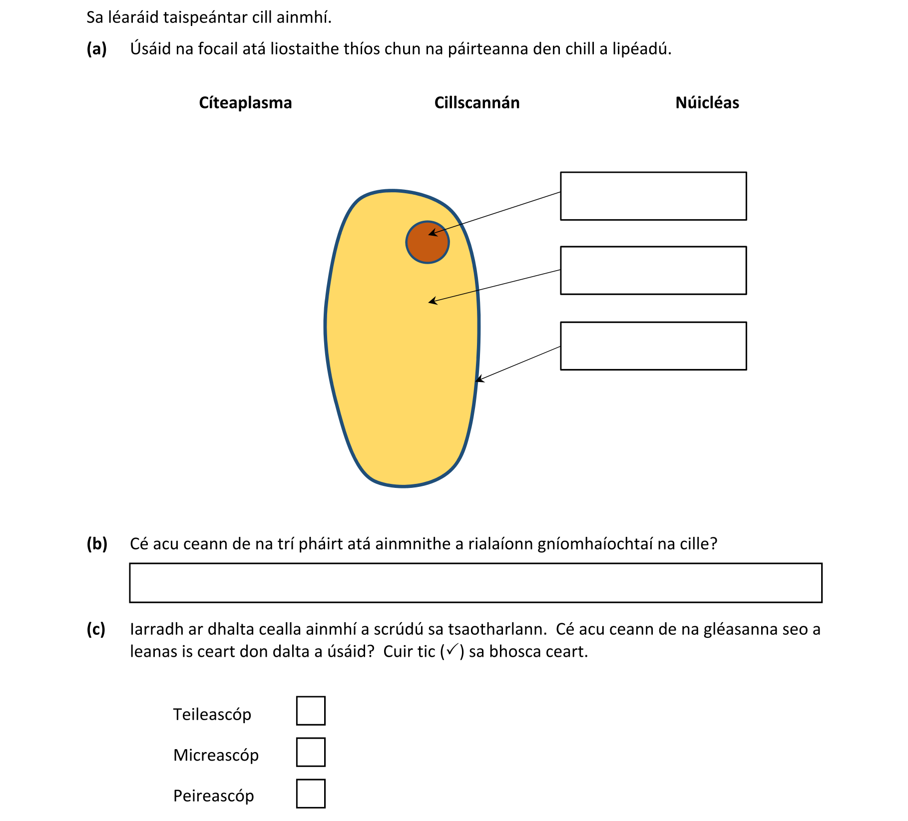 Question cf331296-5988-45c8-957e-d86c5bb78e8a