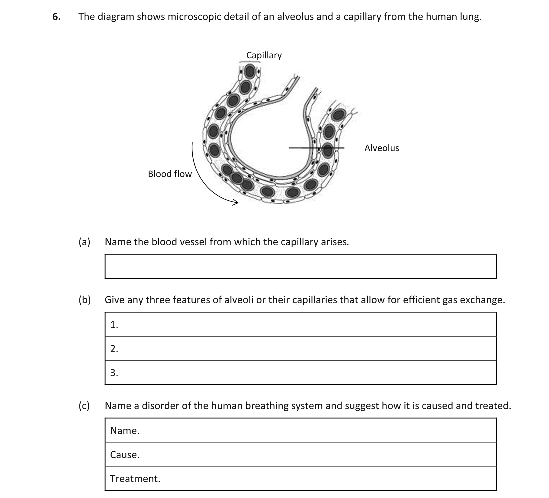 Question 67c38c69-b6b9-415e-9861-2190dcaab15c