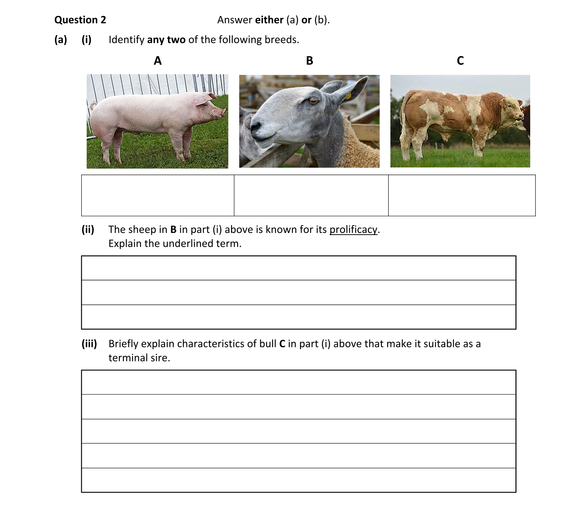 Question 3e74426f-6365-49f5-98a4-d59c9058c345