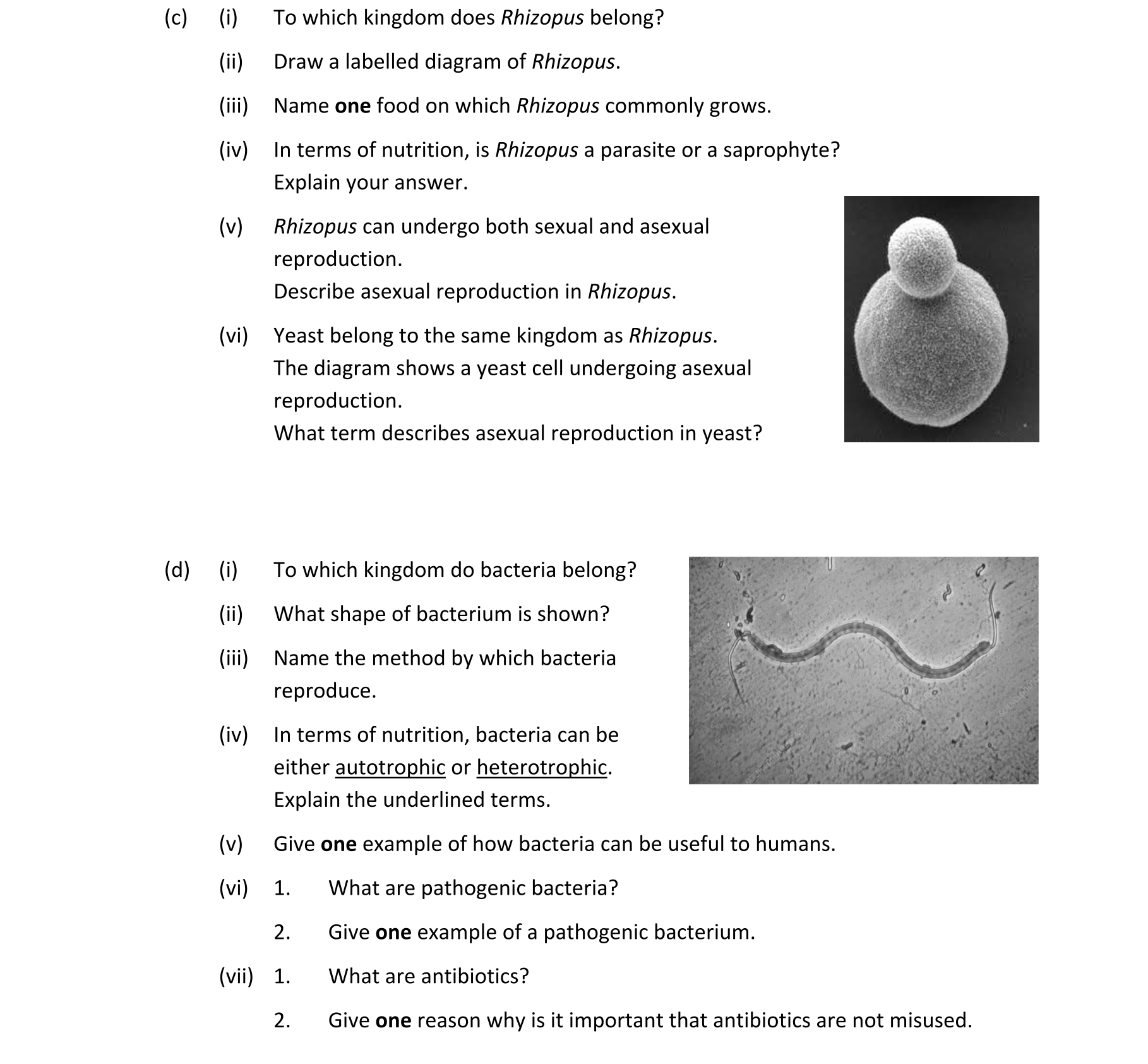 Question 31ac5467-c01c-43f2-8dba-dd590bce156b
