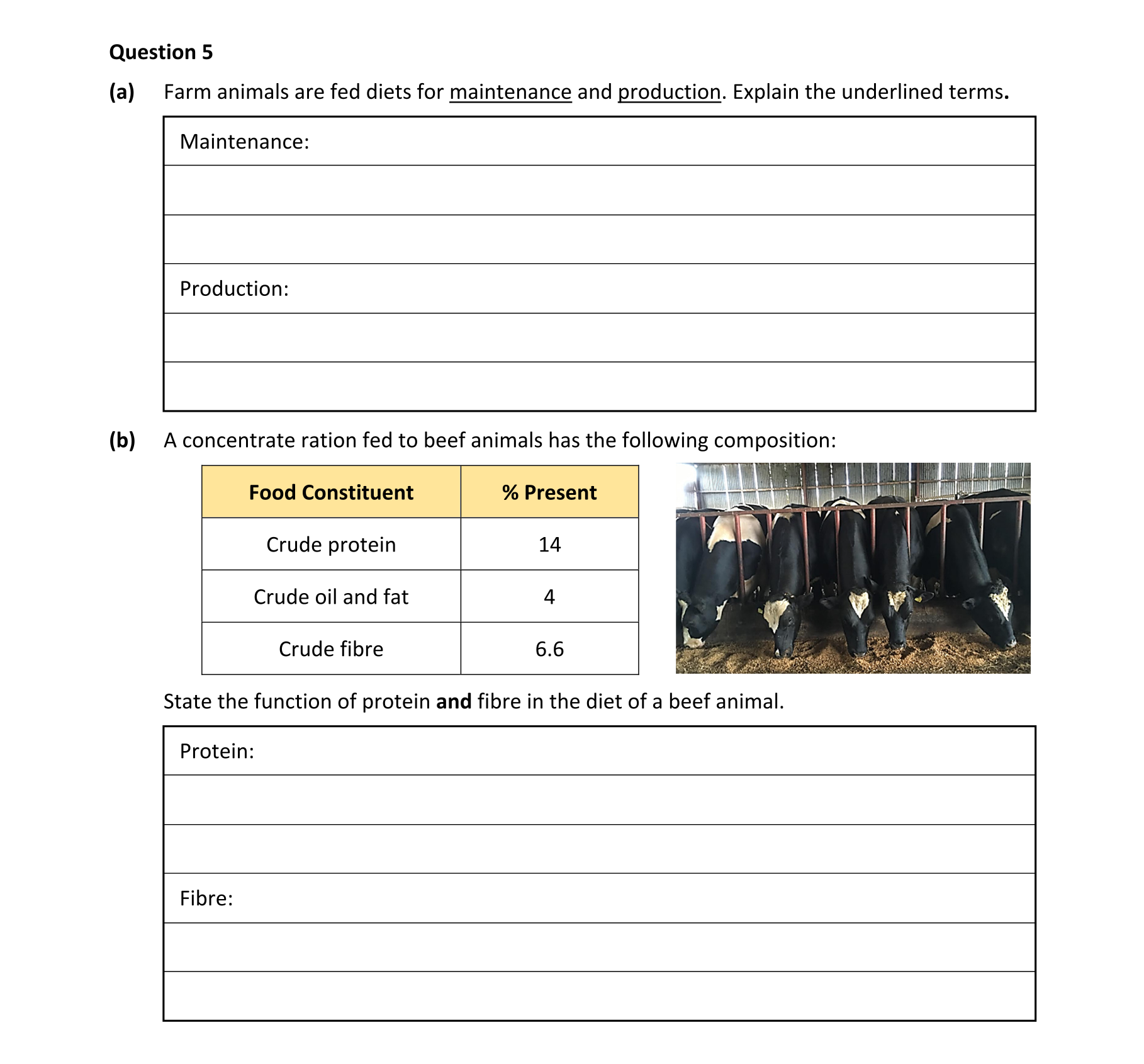 Question d97951be-6ed6-48a0-ad3d-6eaa7a8a284a