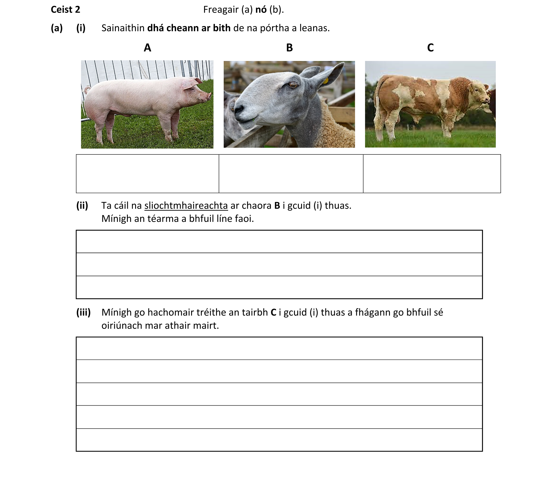 Question 2c10a5c1-8ff3-4a44-92b1-f46942ea3bba