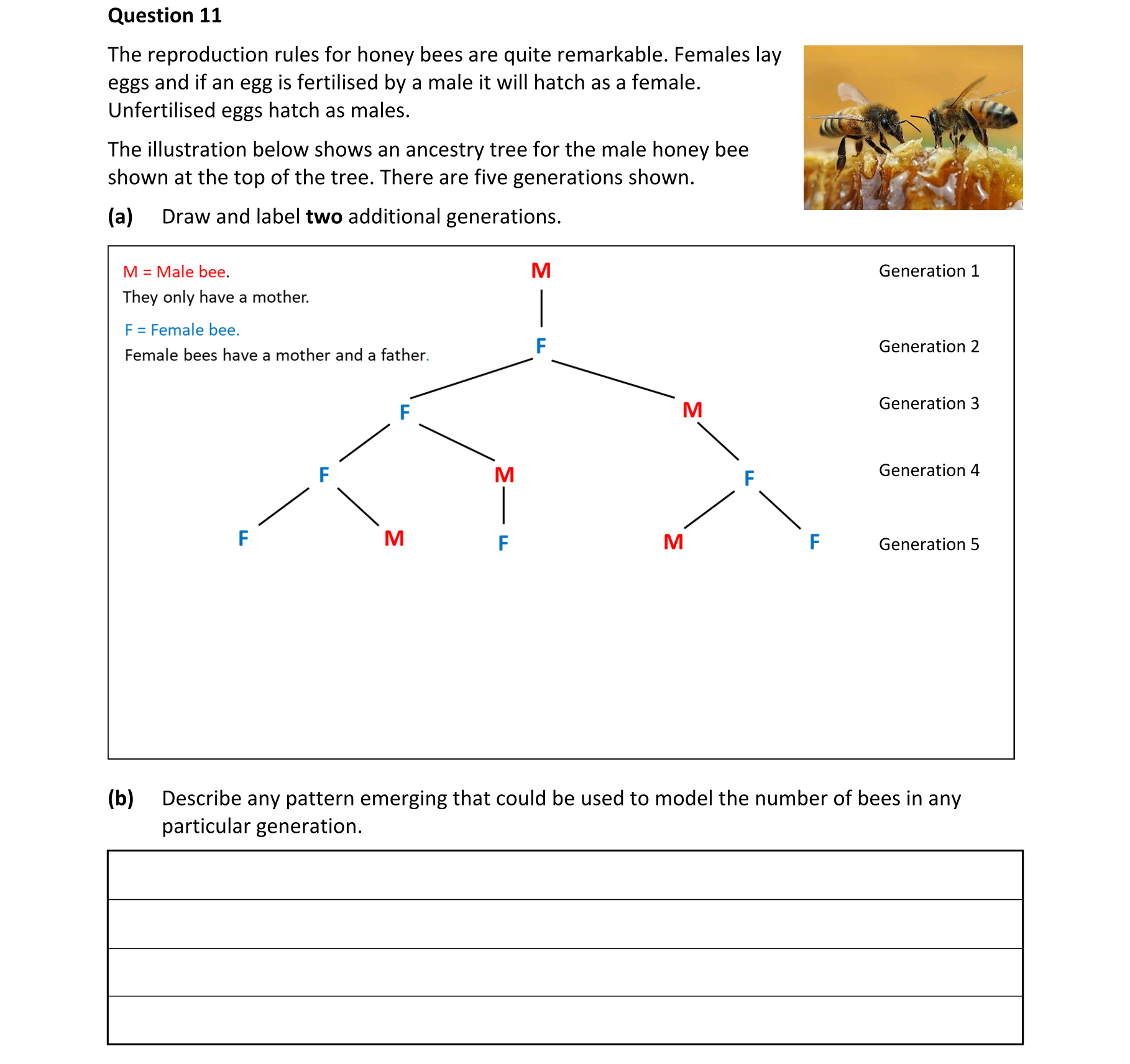 Question c4df150d-12d7-4ec7-ba0b-1aa480637d21