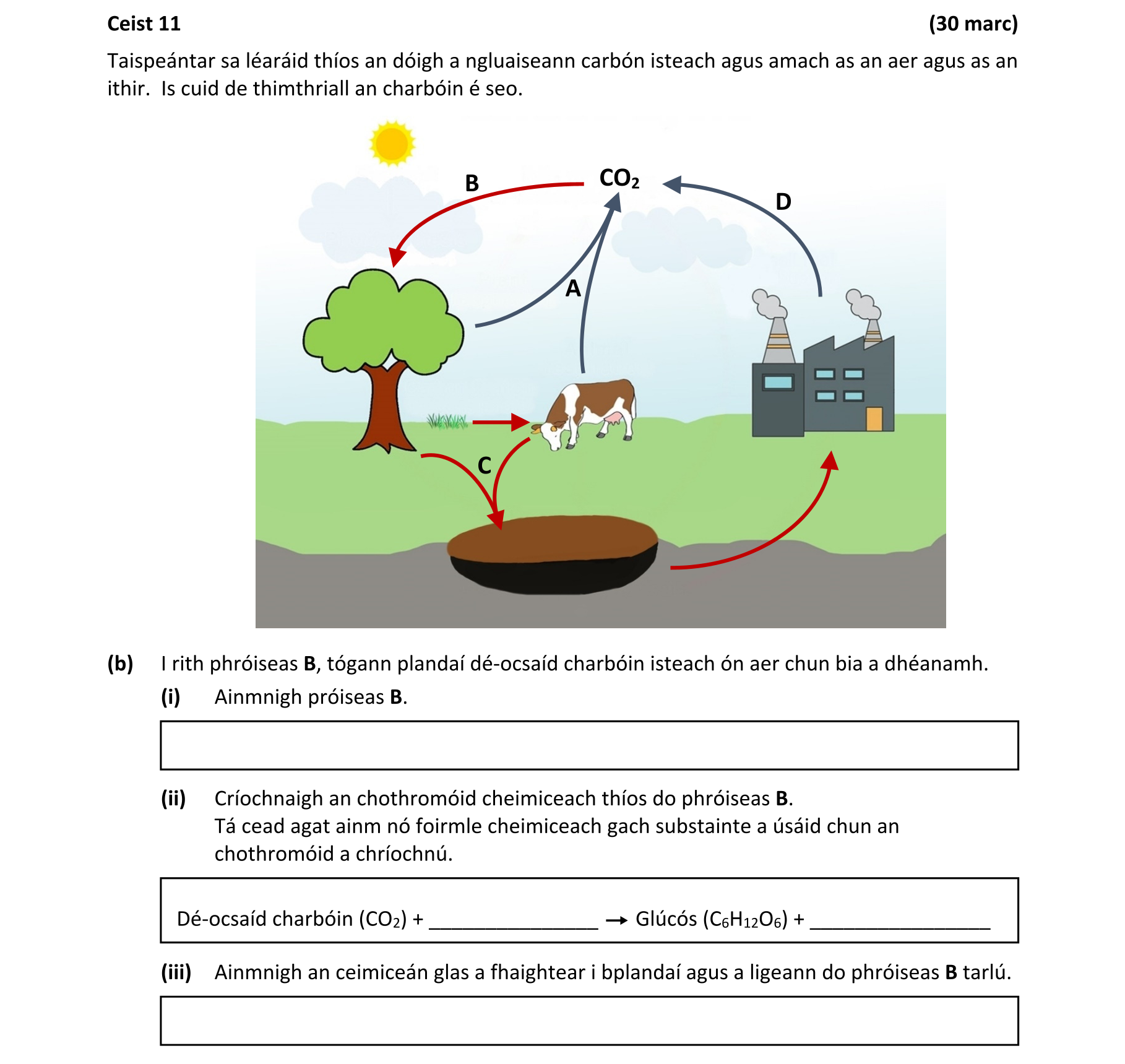 Question 482cb8bb-1a5b-48e7-afe6-9ee753608da5