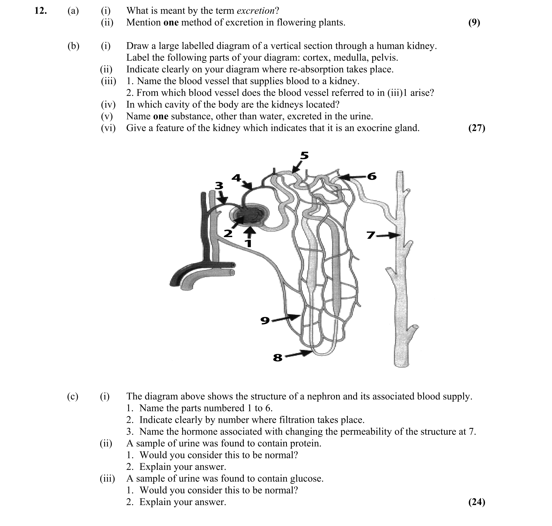 Question d7366b7d-eacd-40bd-a549-a5e7637b2cb6