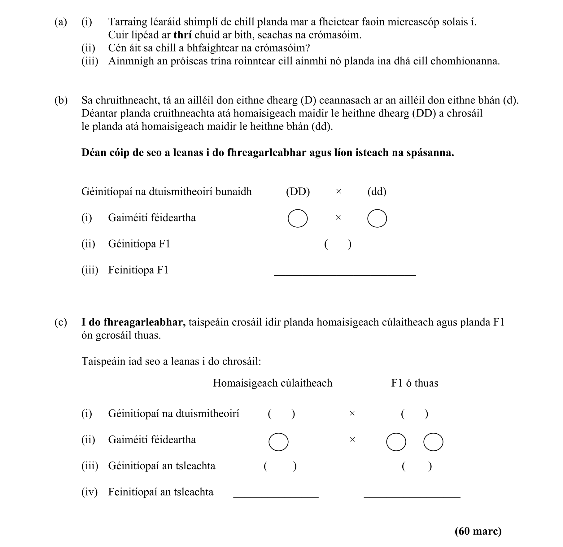 Question a2adb031-327a-4462-9b5c-6982eb8ebd1e