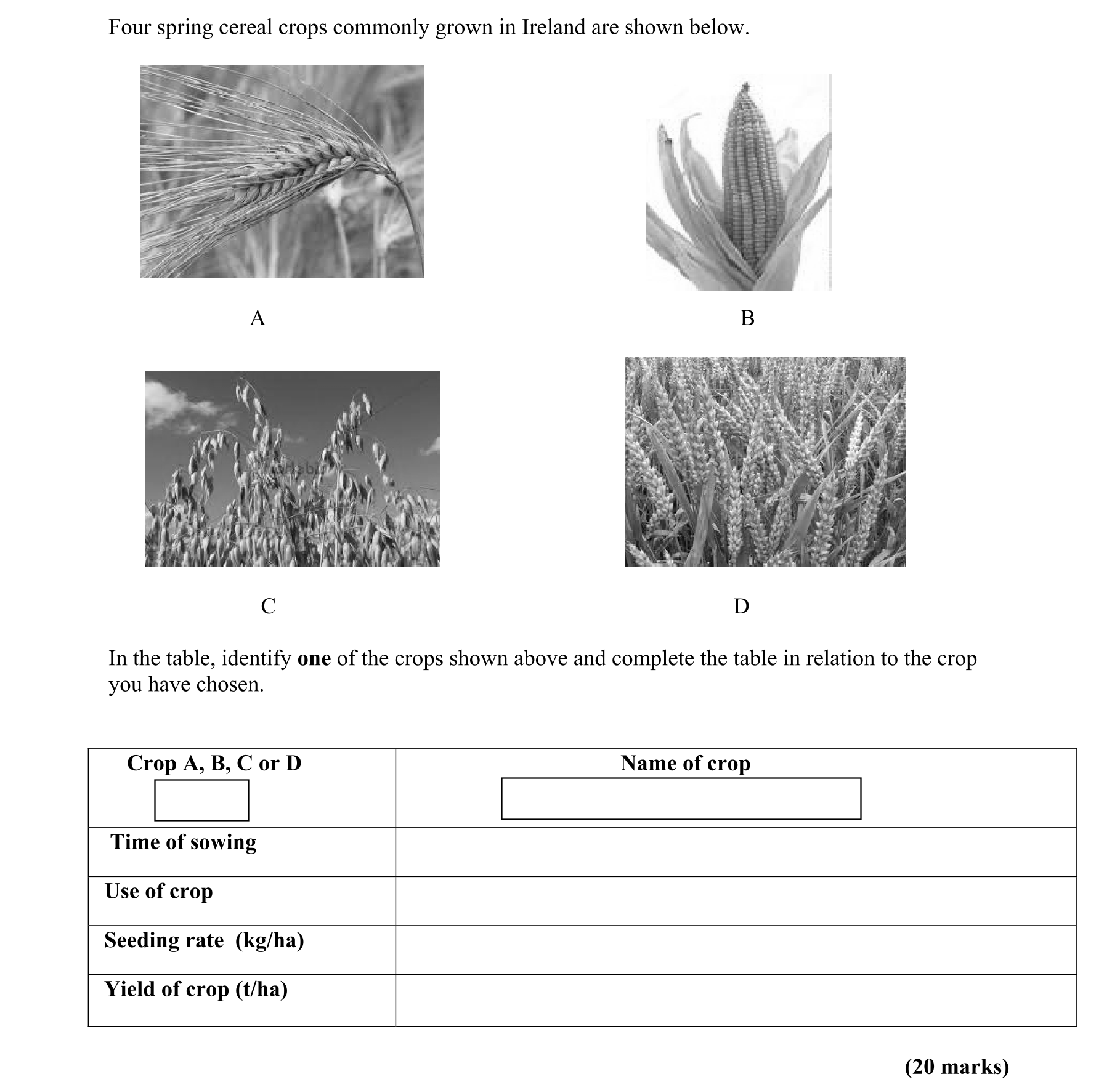 Question f15e5d03-0cb6-4072-bc4e-9cc042391da6