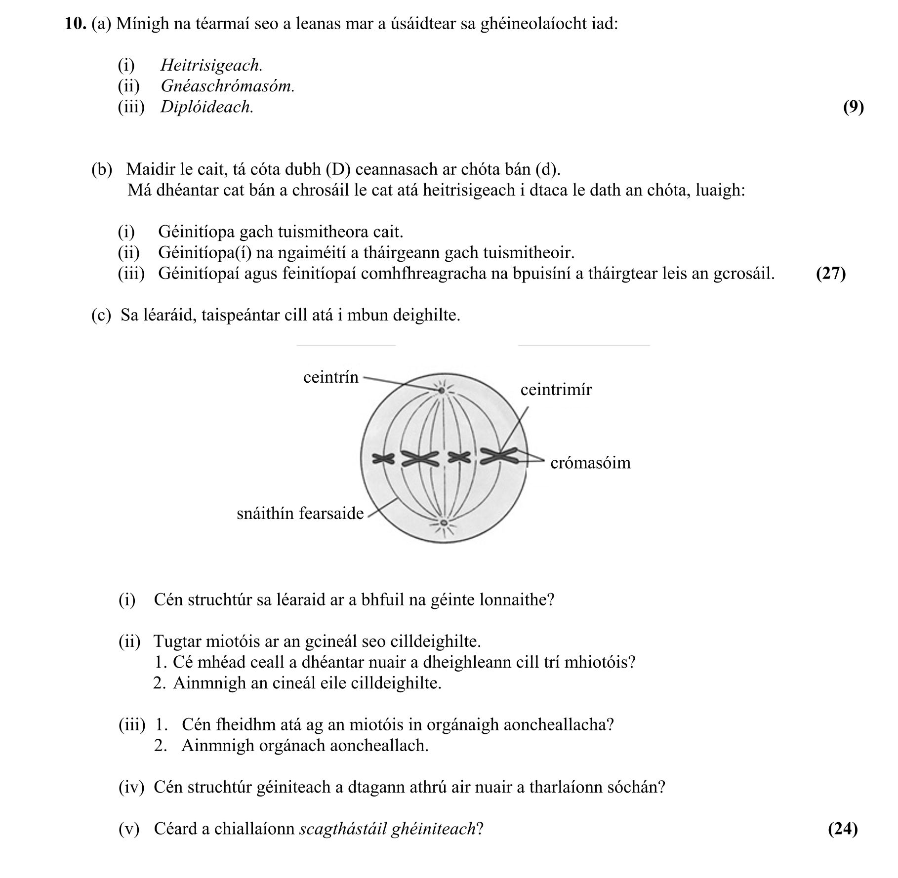 Question 68317802-bdff-42b8-803b-4e0f0433234a