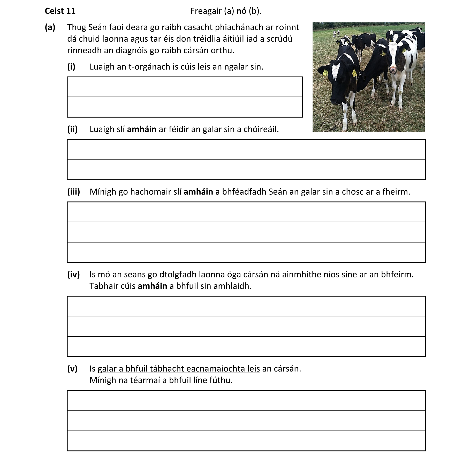 Question 77269b90-b343-4bad-972c-652713bc3cc4