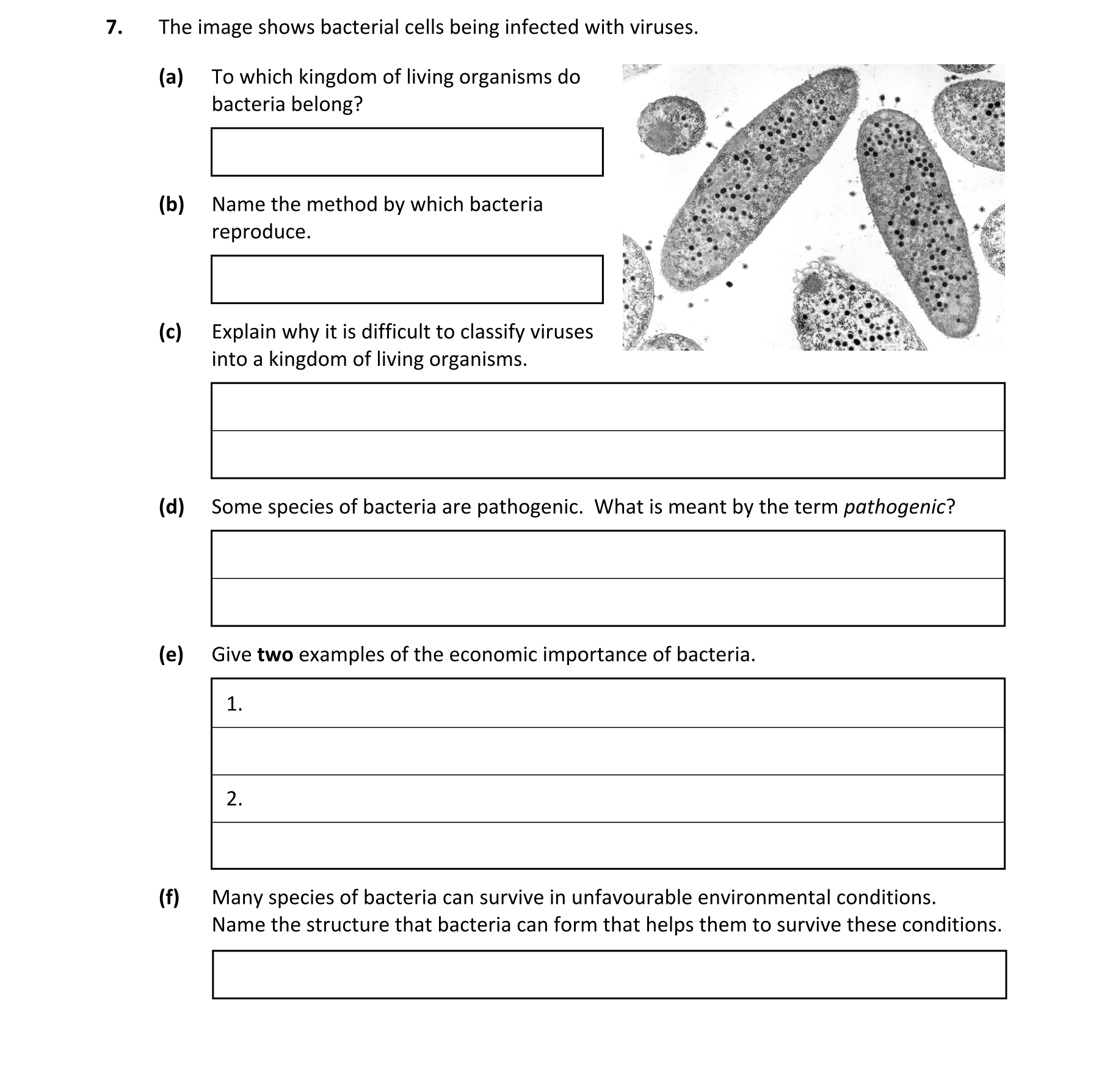 Question 01ef3f64-2f14-4b87-a39d-1c3bf3eb10cb