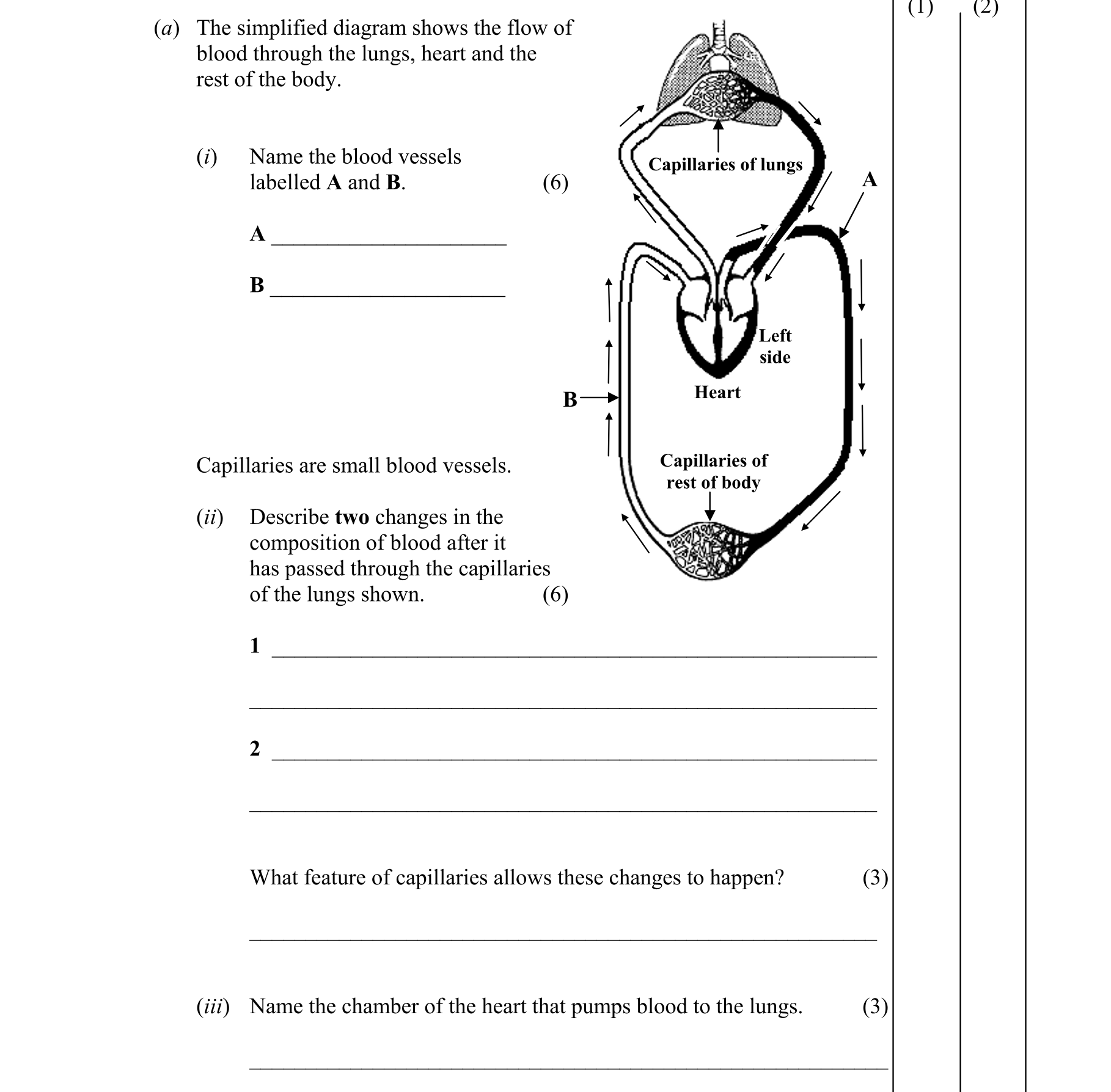 Question 93f11a9a-3c63-4851-8633-6e92267de32f
