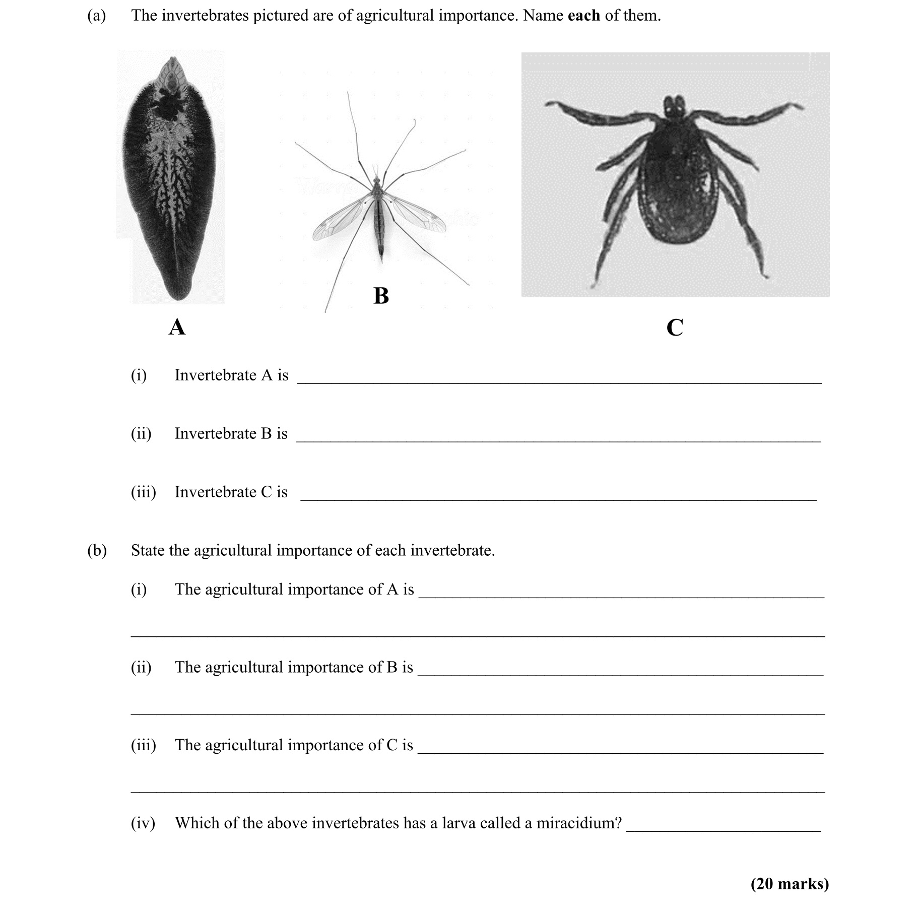 Question a8f63fe8-9fe7-42e6-a093-85cb845257ad