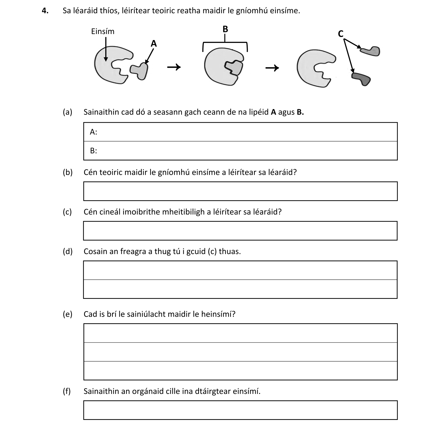 Question e7532f53-b6e0-42e6-9f32-7021a99b286c