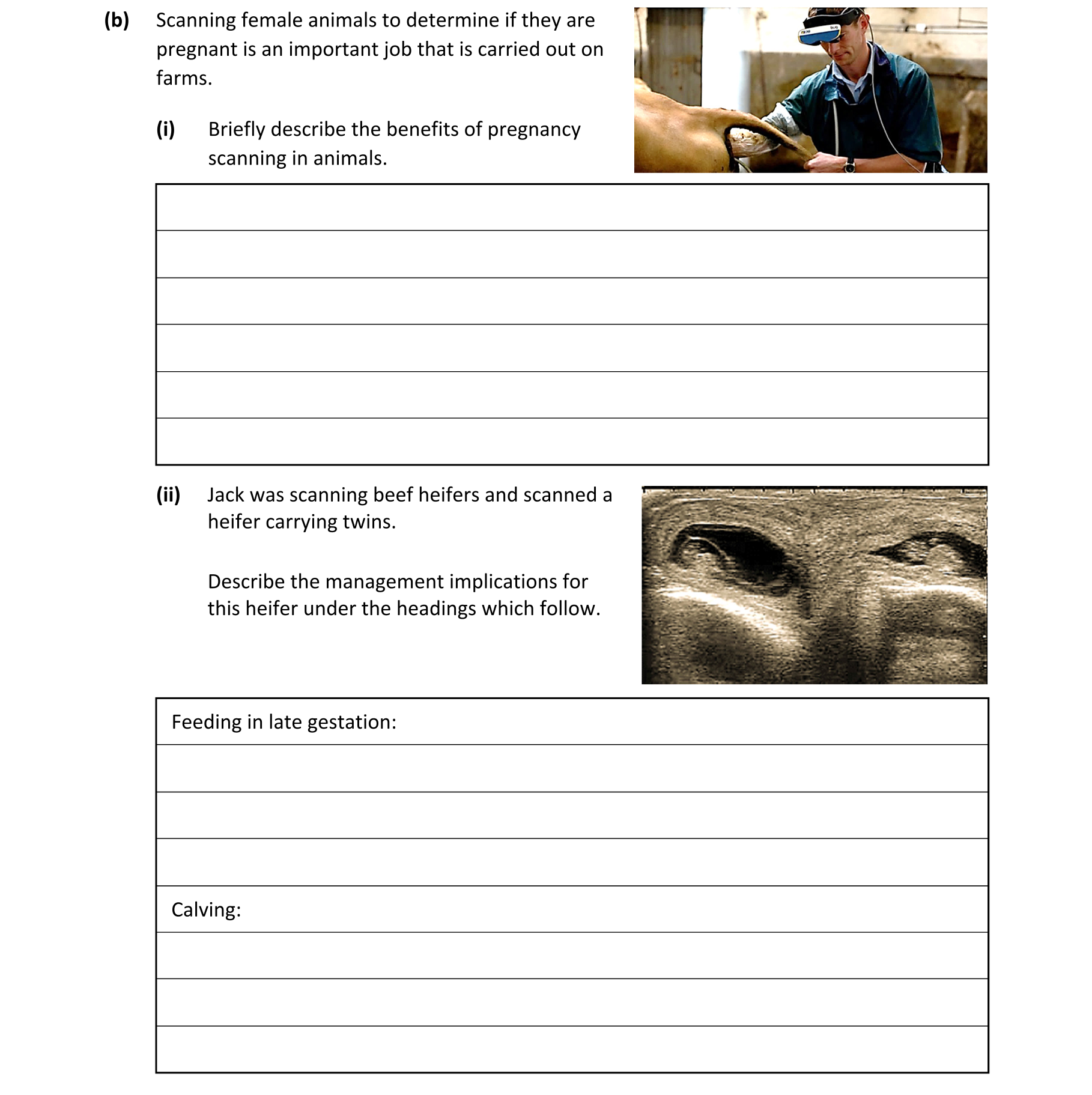 Question 14c362ba-d292-4355-aabf-a317d24d051a