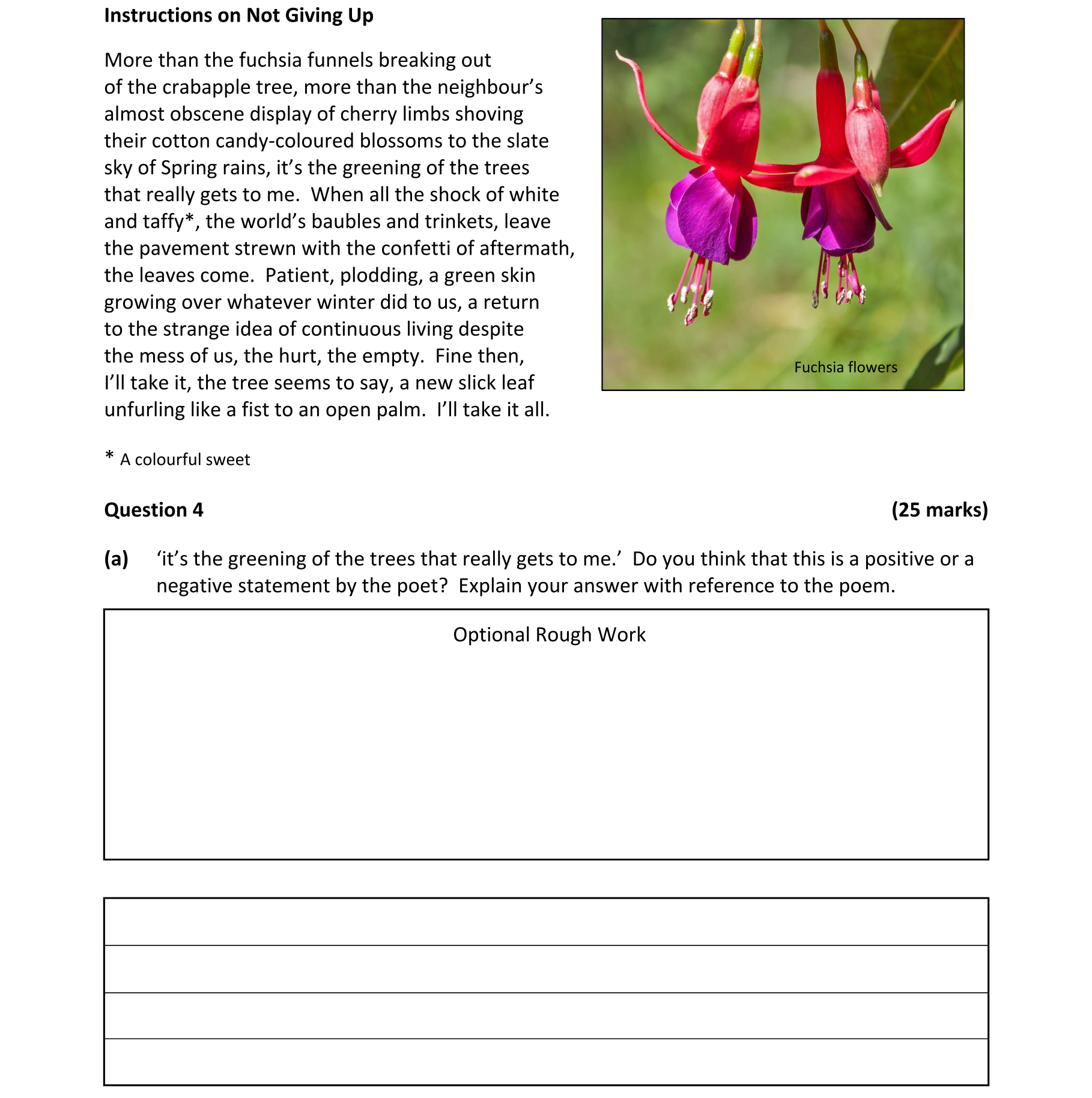 Question 77a1d49d-0da9-4b7b-bc2b-8e6fe380213e