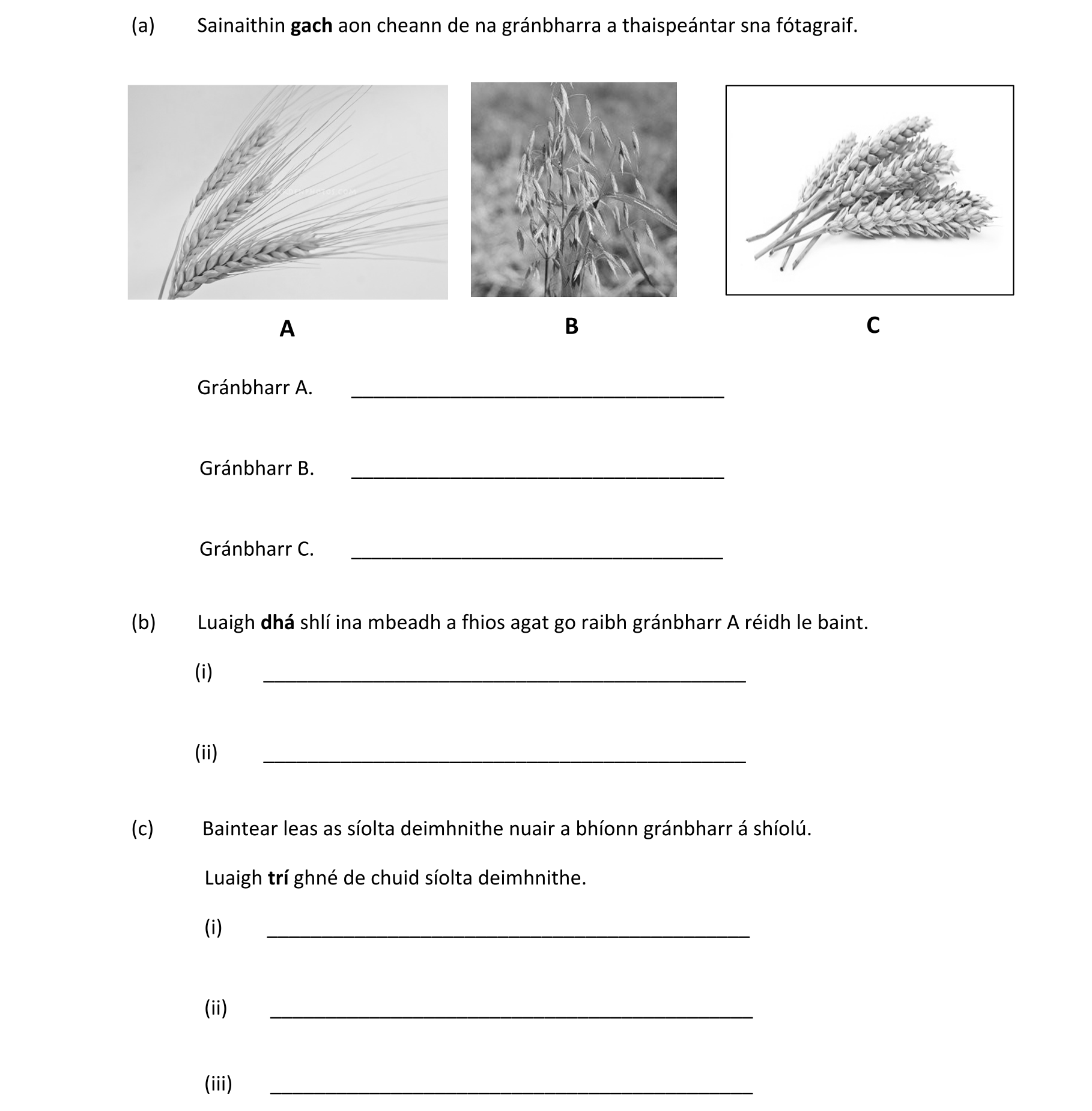 Question 1d0155e7-61cd-45ac-9dc0-72318be4ca64