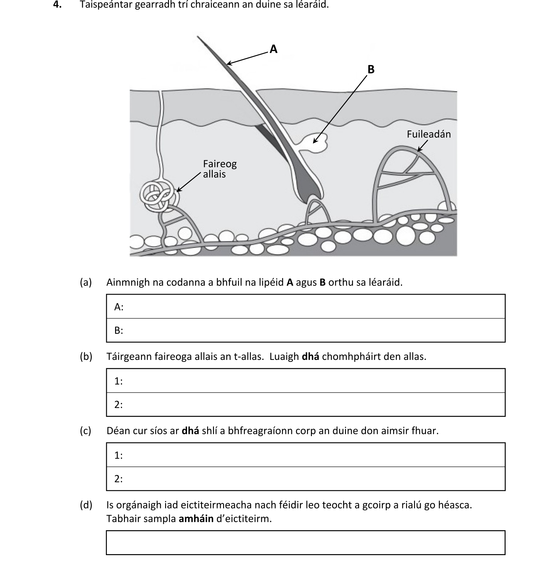 Question 1a78239b-02ff-4920-8802-2362f0038b7a