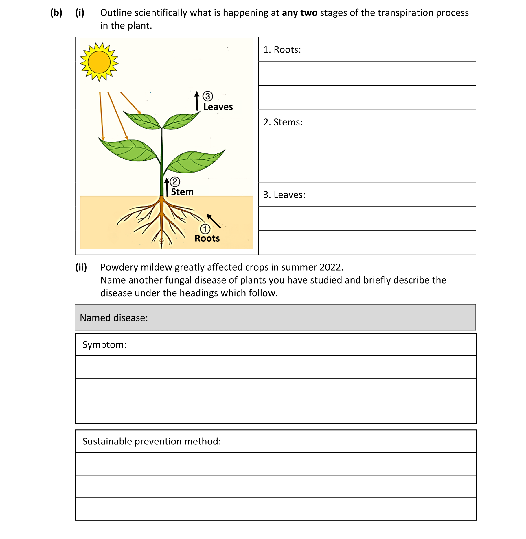 Question f60ffe1e-27d2-4629-8123-74951a4d0acf