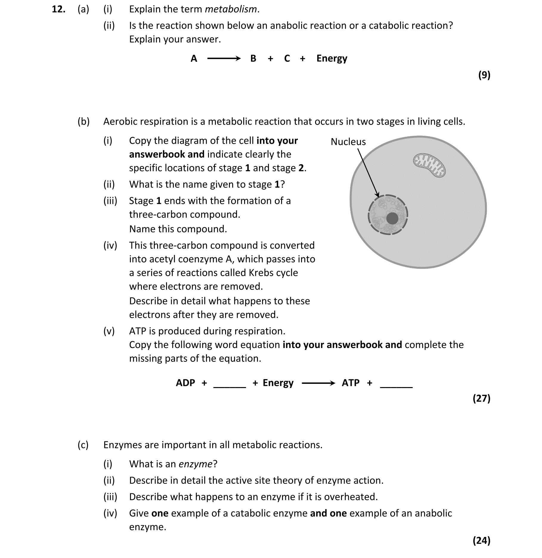 Question 8a19def2-6dc8-44e1-ab24-0969d7844e4d