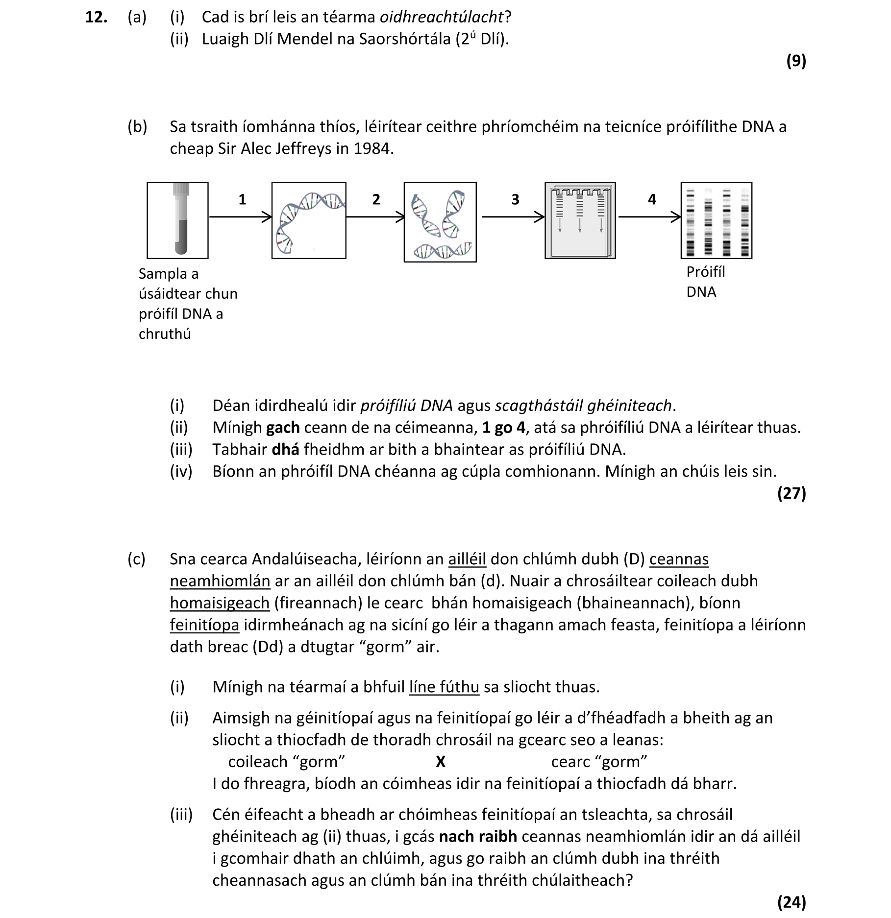 Question cd418dd8-4960-488b-ab9f-ee31a87c5e7e