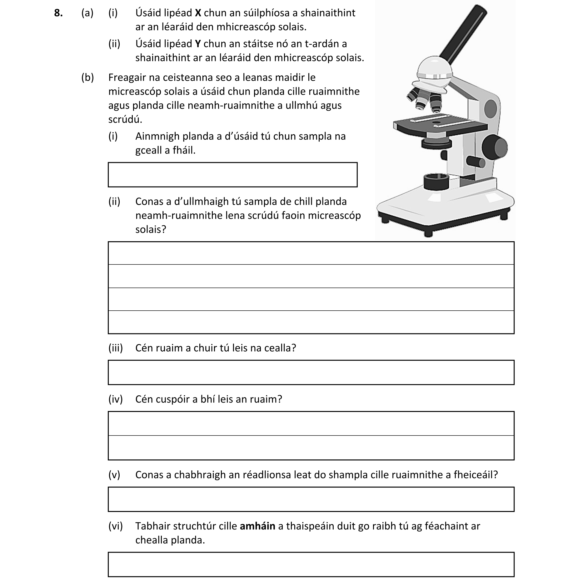 Question 3538886d-d7ef-4c22-b3ab-b4fa697ff61f
