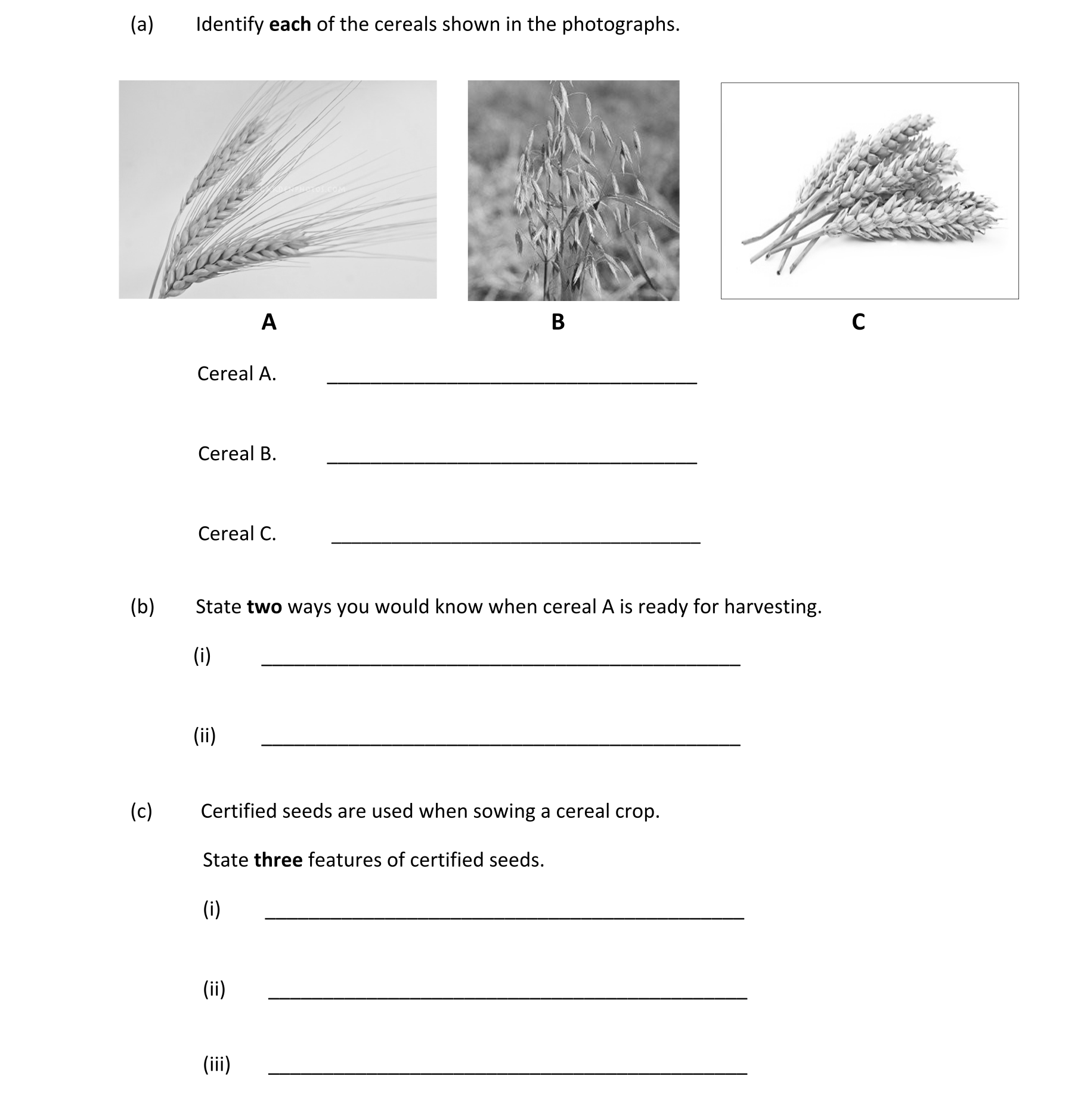 Question 7c4bfd90-93f9-425b-bf1f-64511a1a65e5